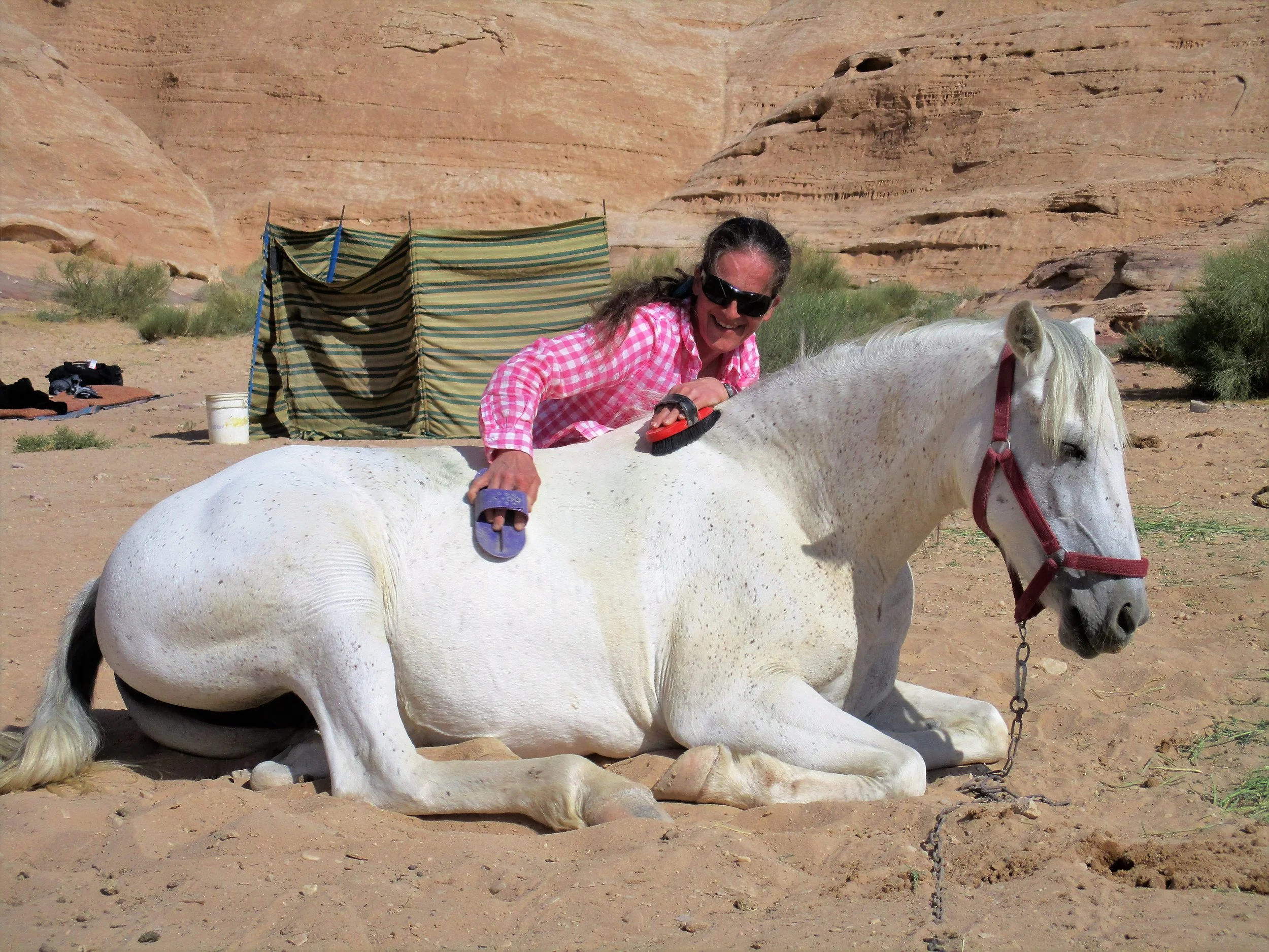 Horse Riding Tours Jordan 31