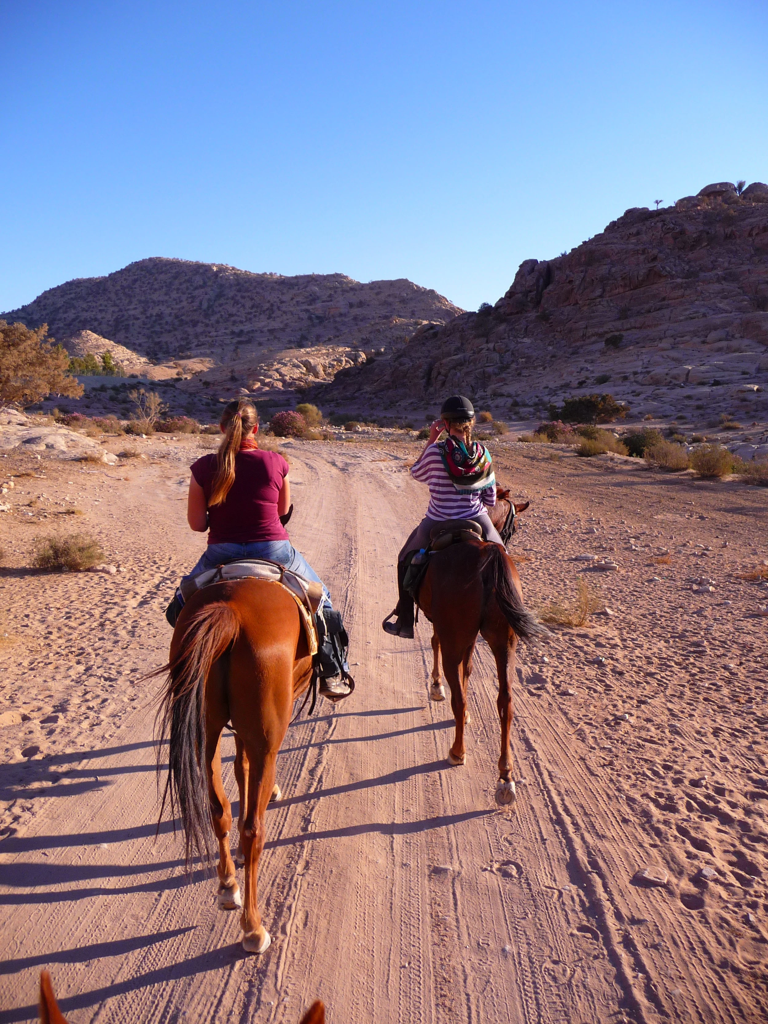 Horse Riding Tours Jordan 39