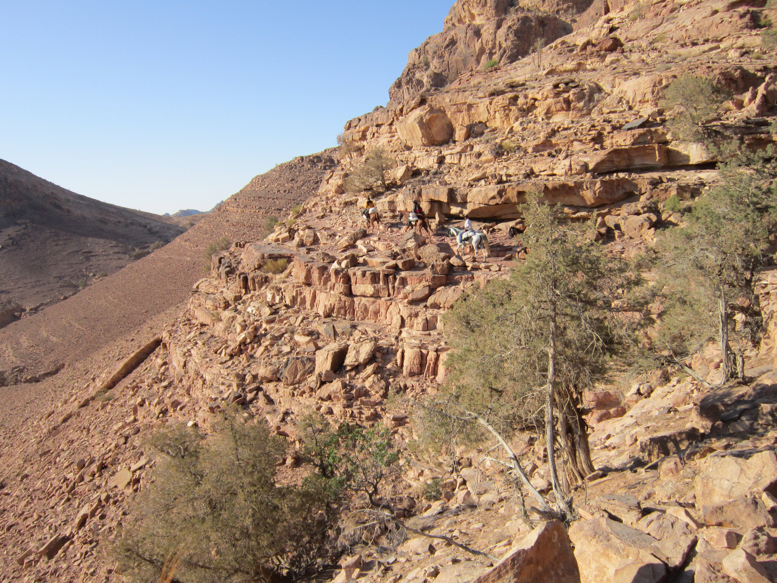 Horse Riding Tours Jordan 37