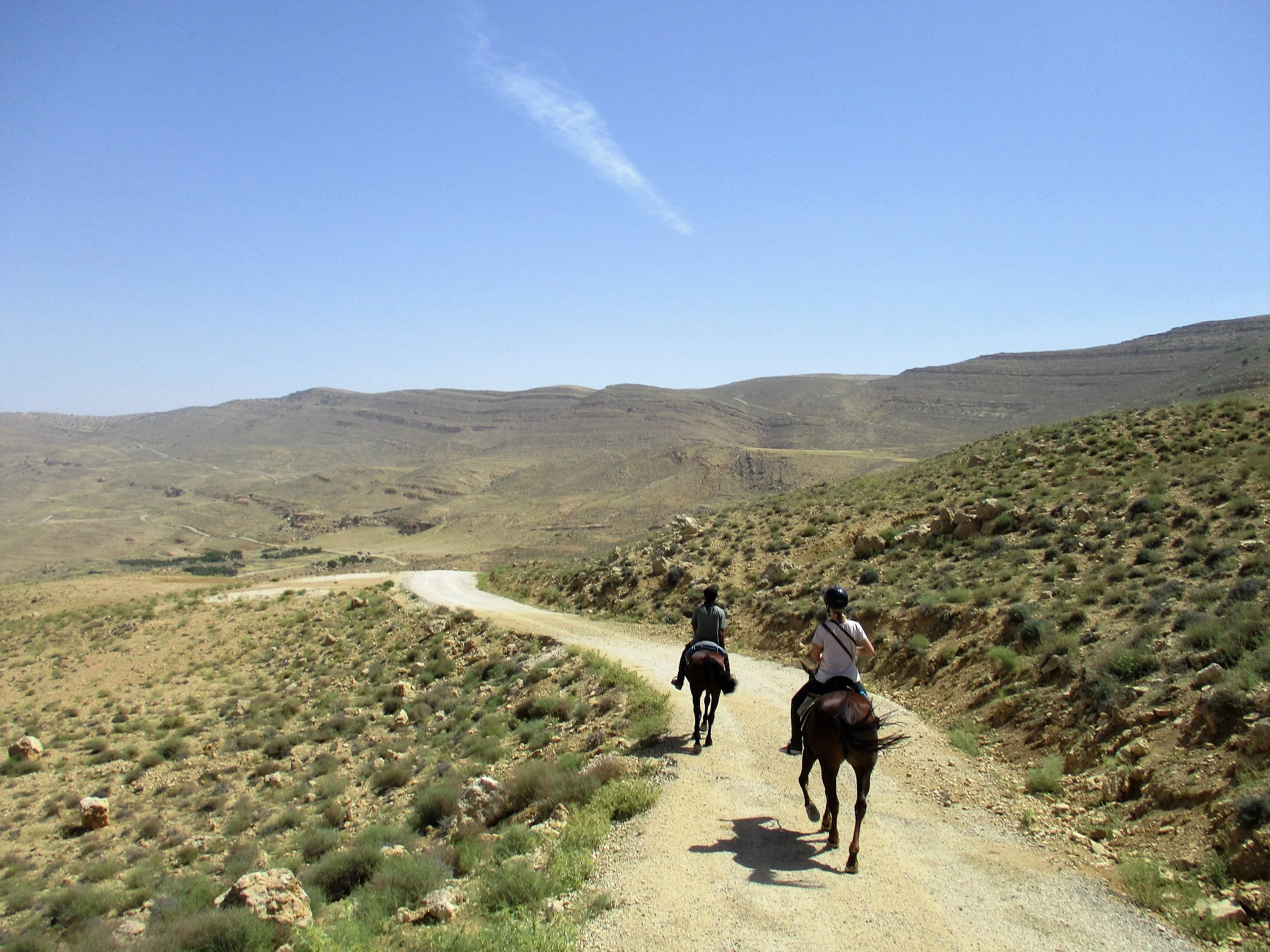 Horse riding Tours Jordan 35