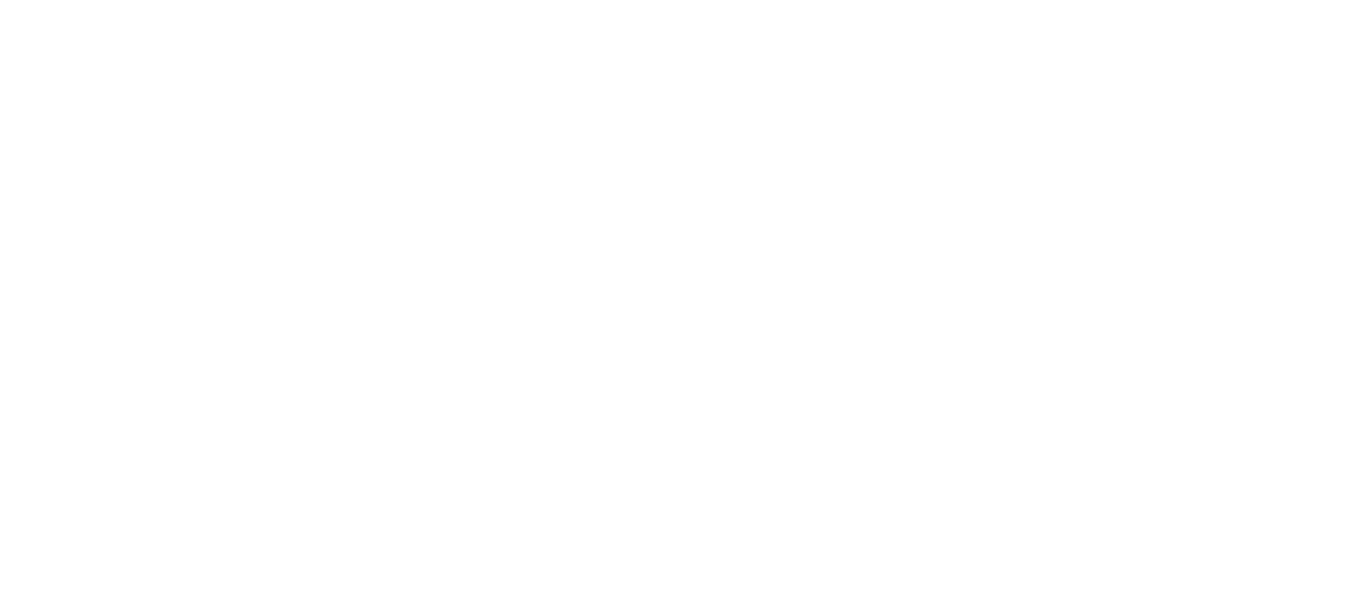 Zizza & Associates