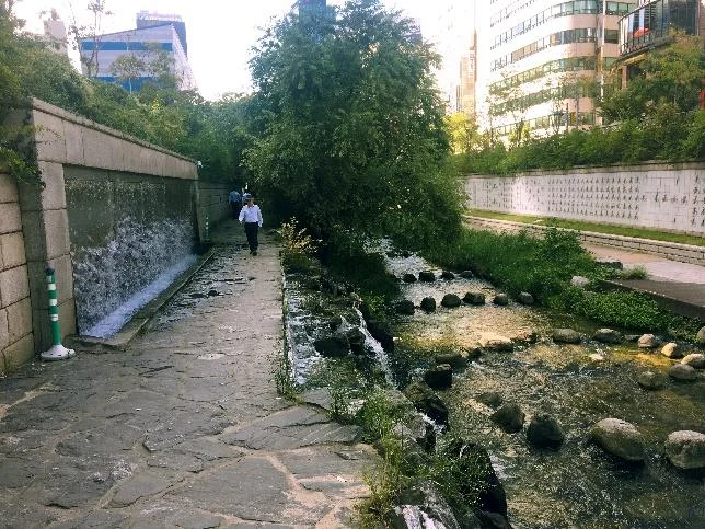 Stones allow visitors to cross the stream from within the park