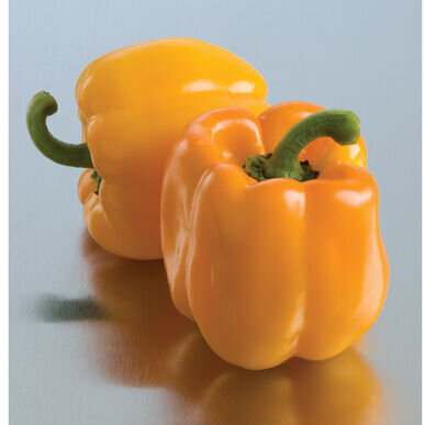 Organic Bell Peppers