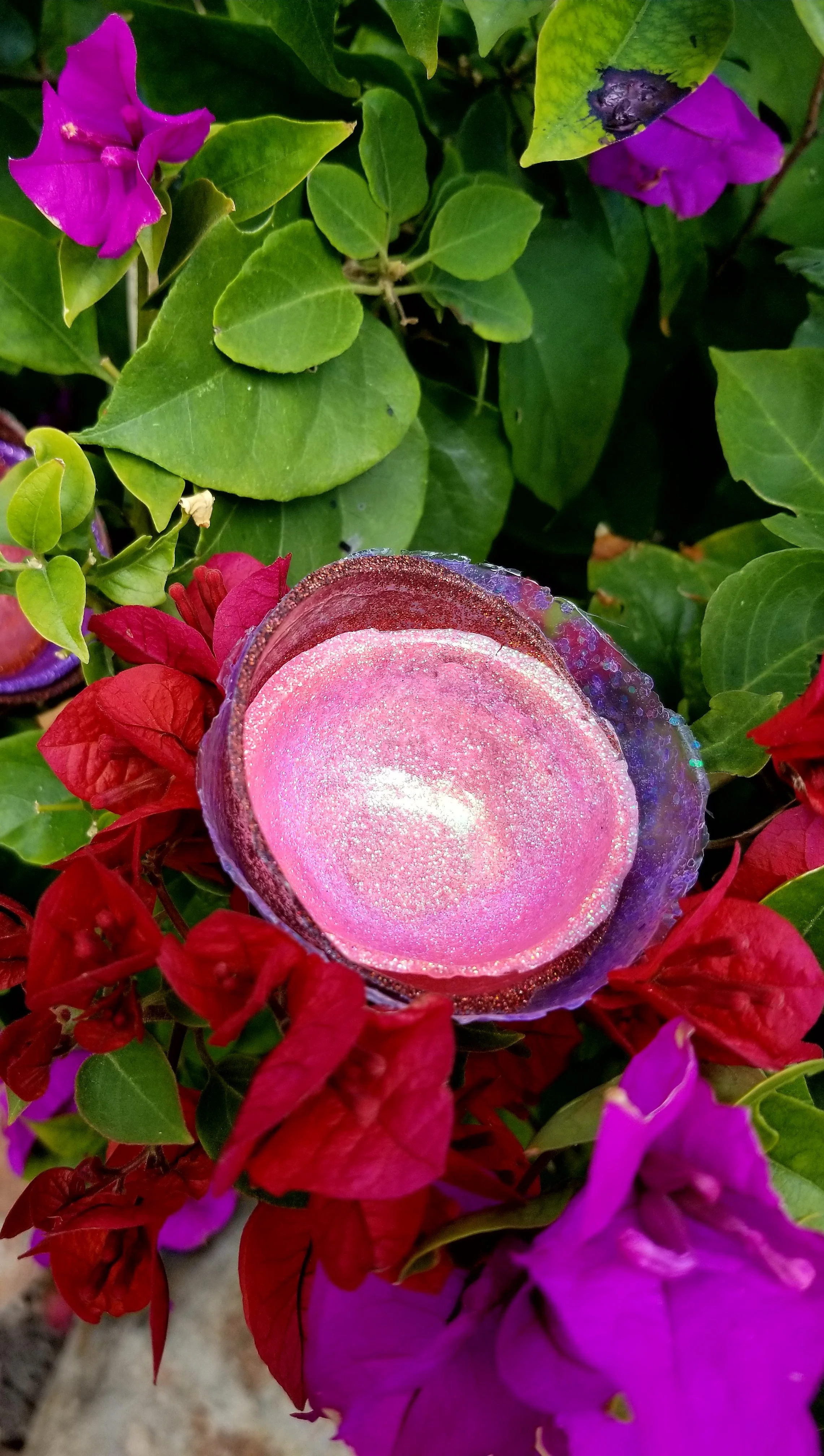 Bougainvillea Dome