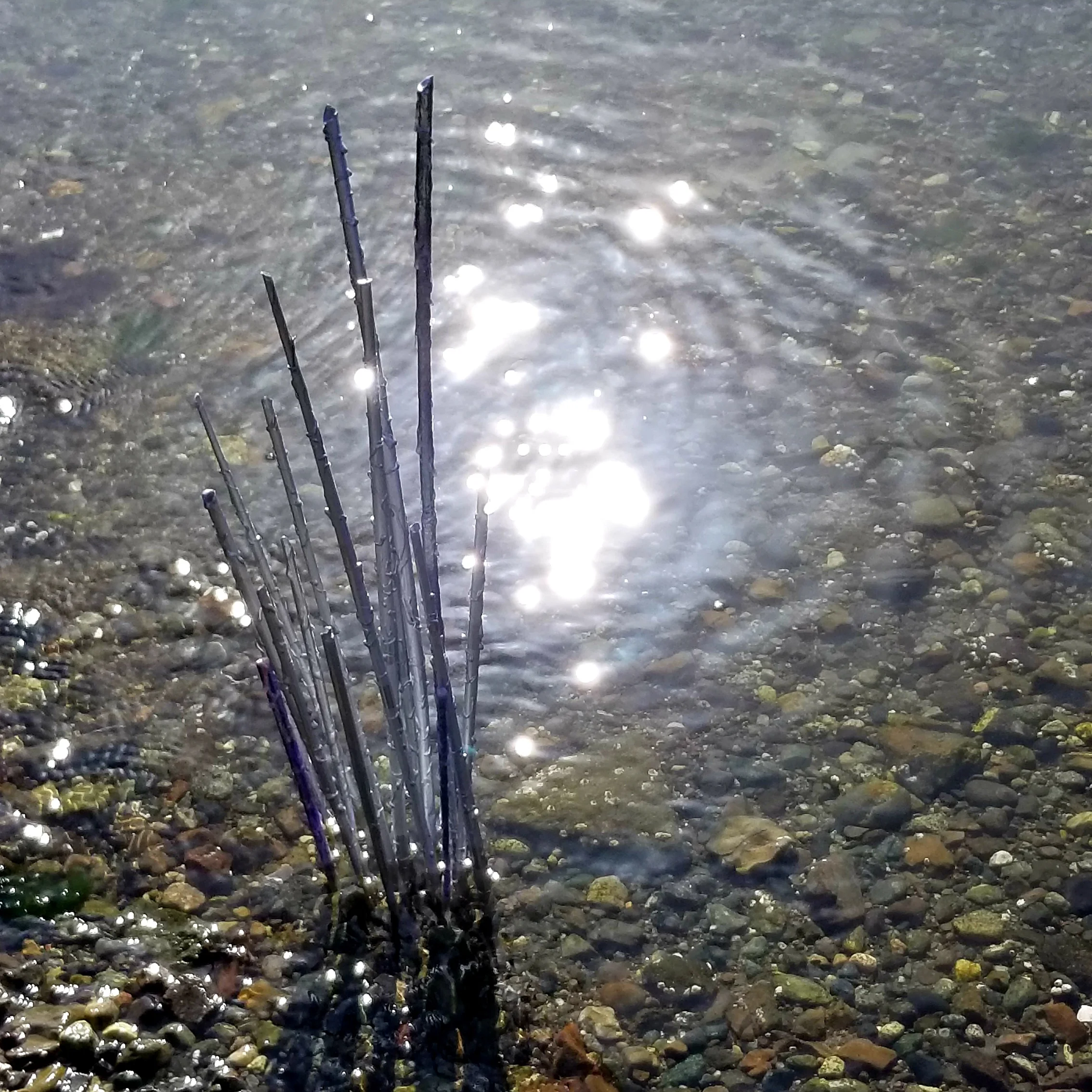 Stick Sparkle