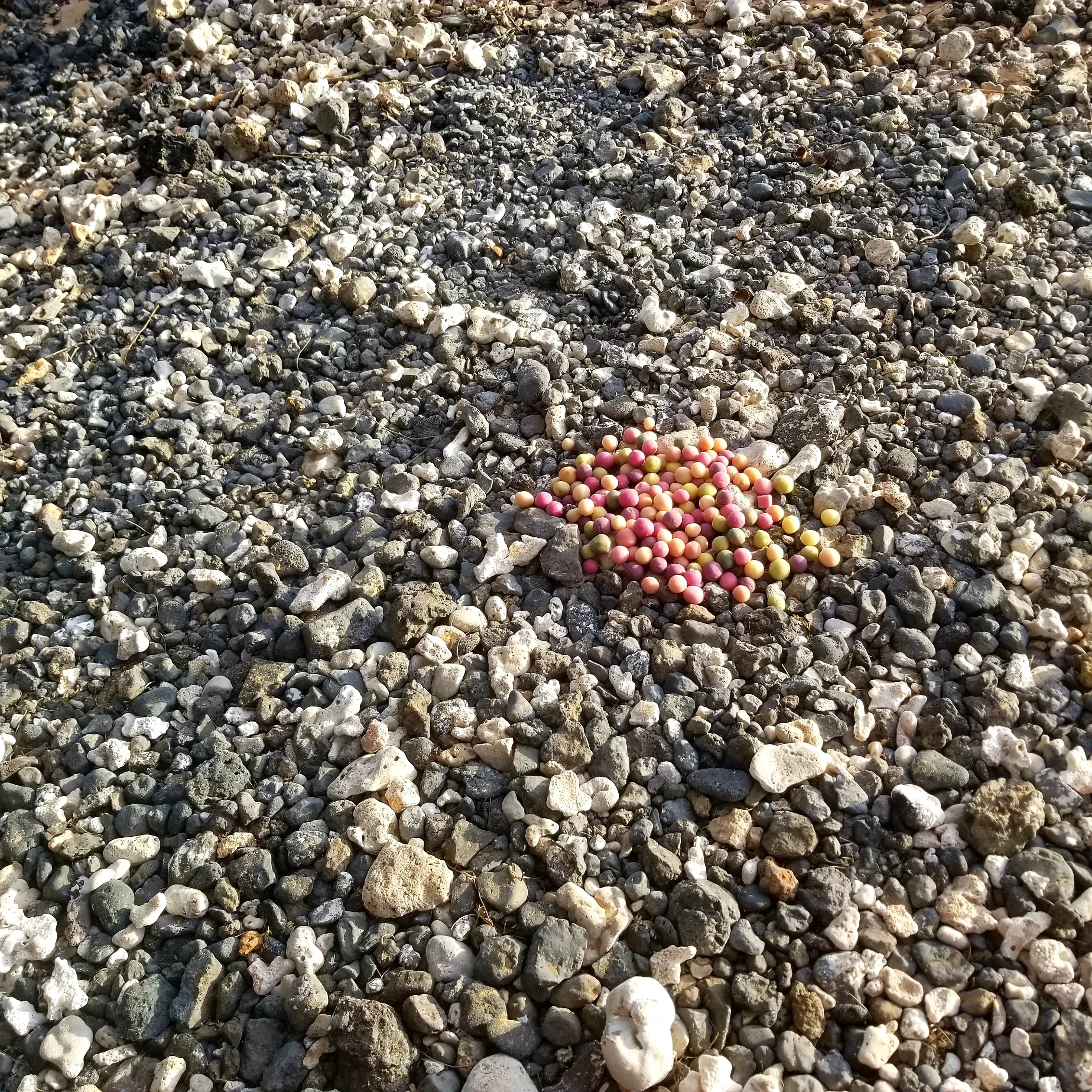 Granular