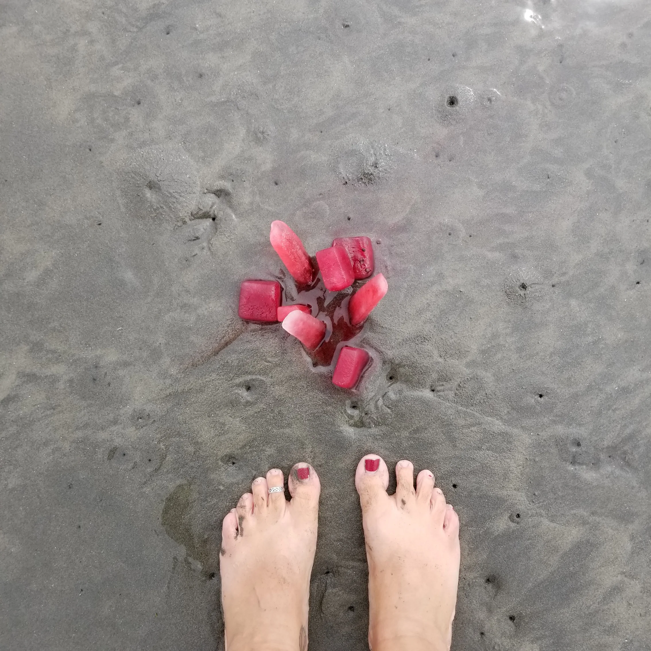Hibiscus infused ice installed on quicksand in Seabrook, Washington, July 2018. Beach ice pops!