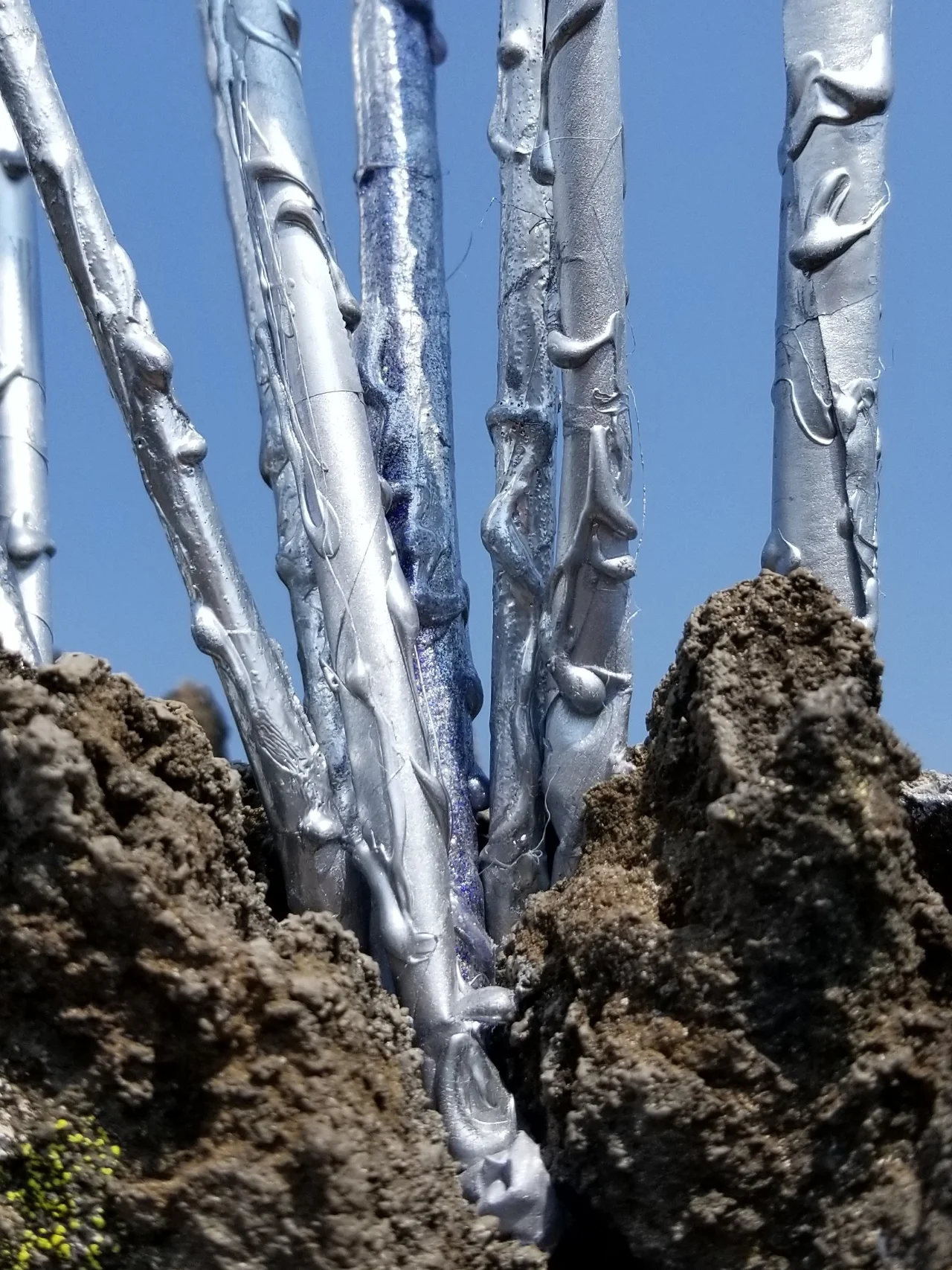 Silverstick