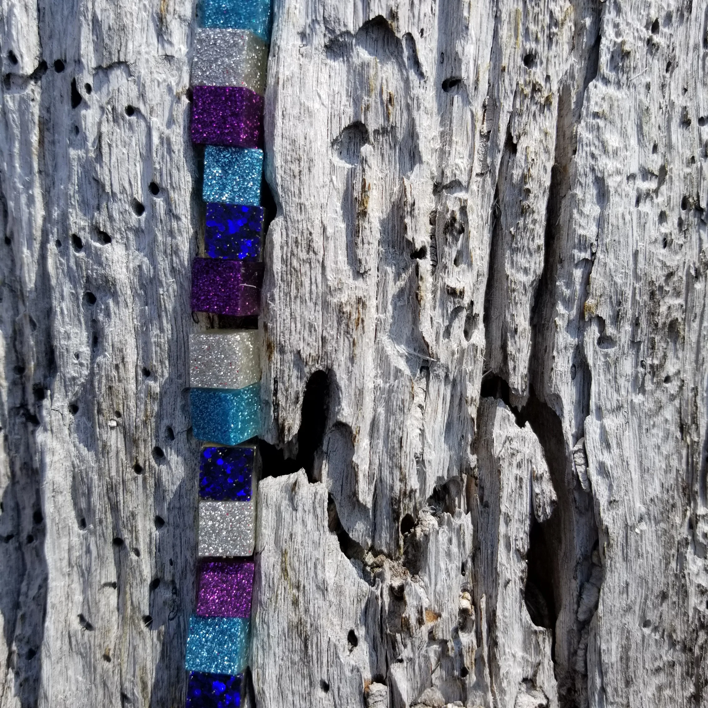 Lodge Pole