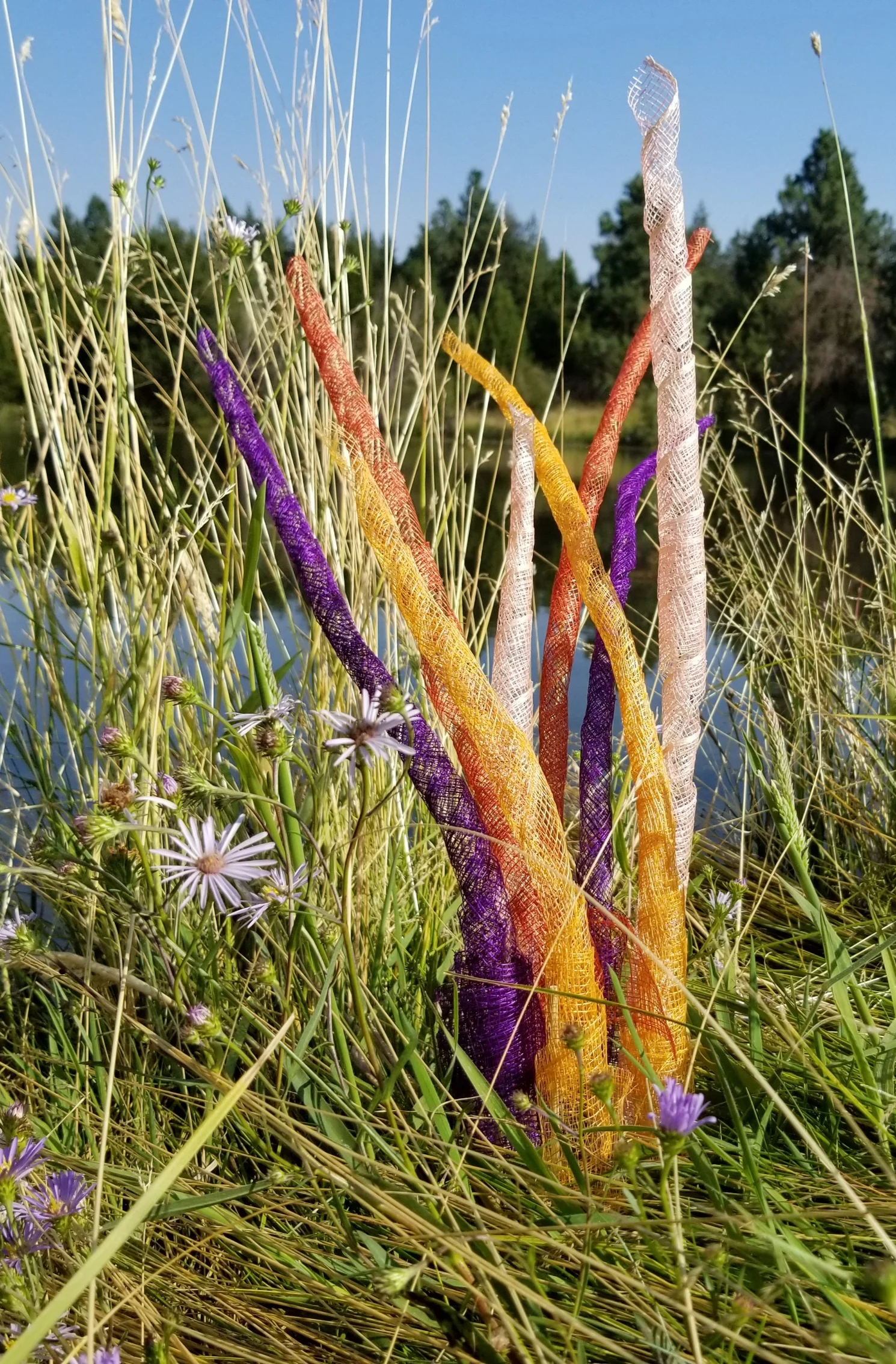 Abaca Grass