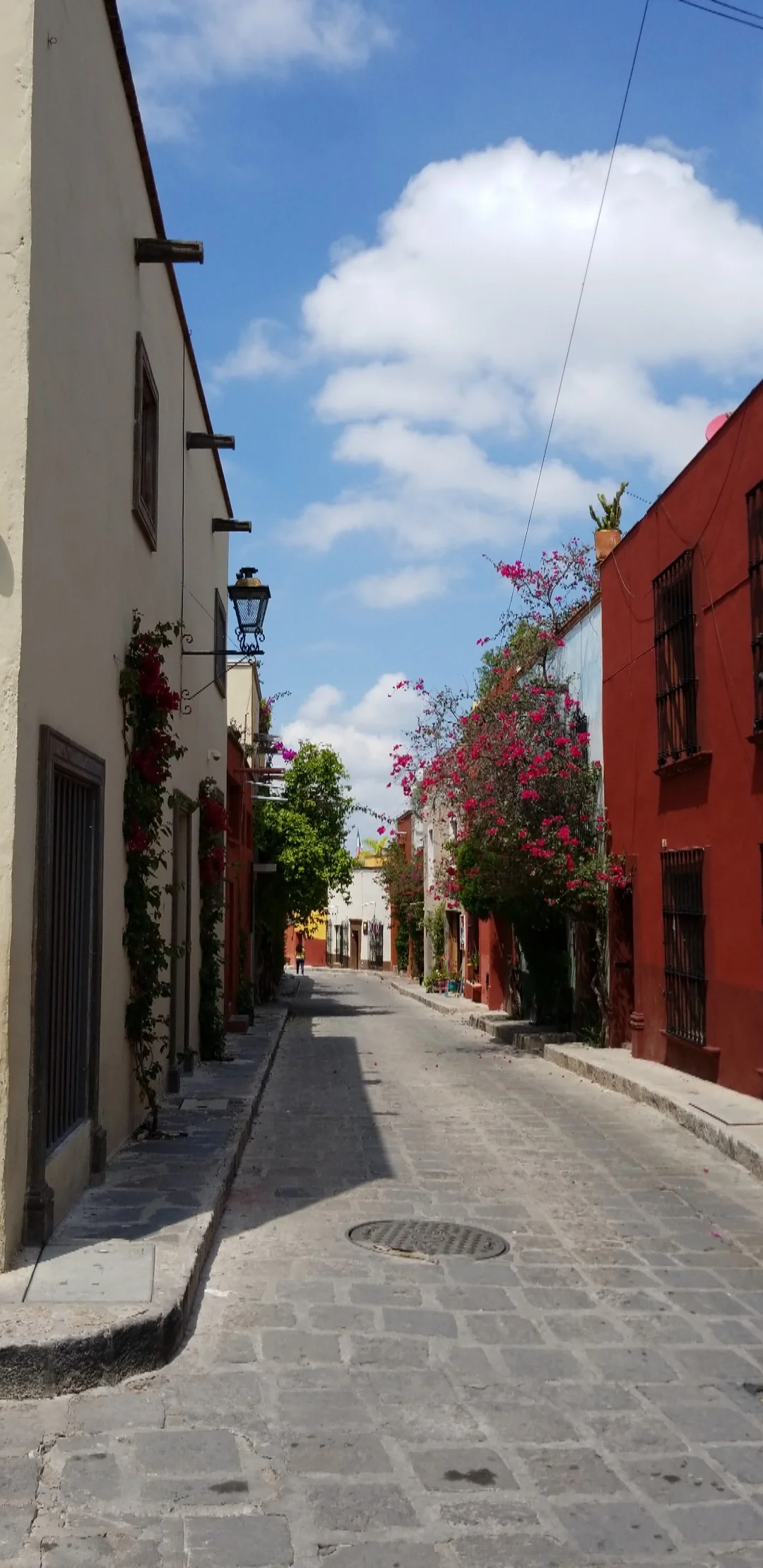 50 shades of color around every corner in San Miguel de Allende.