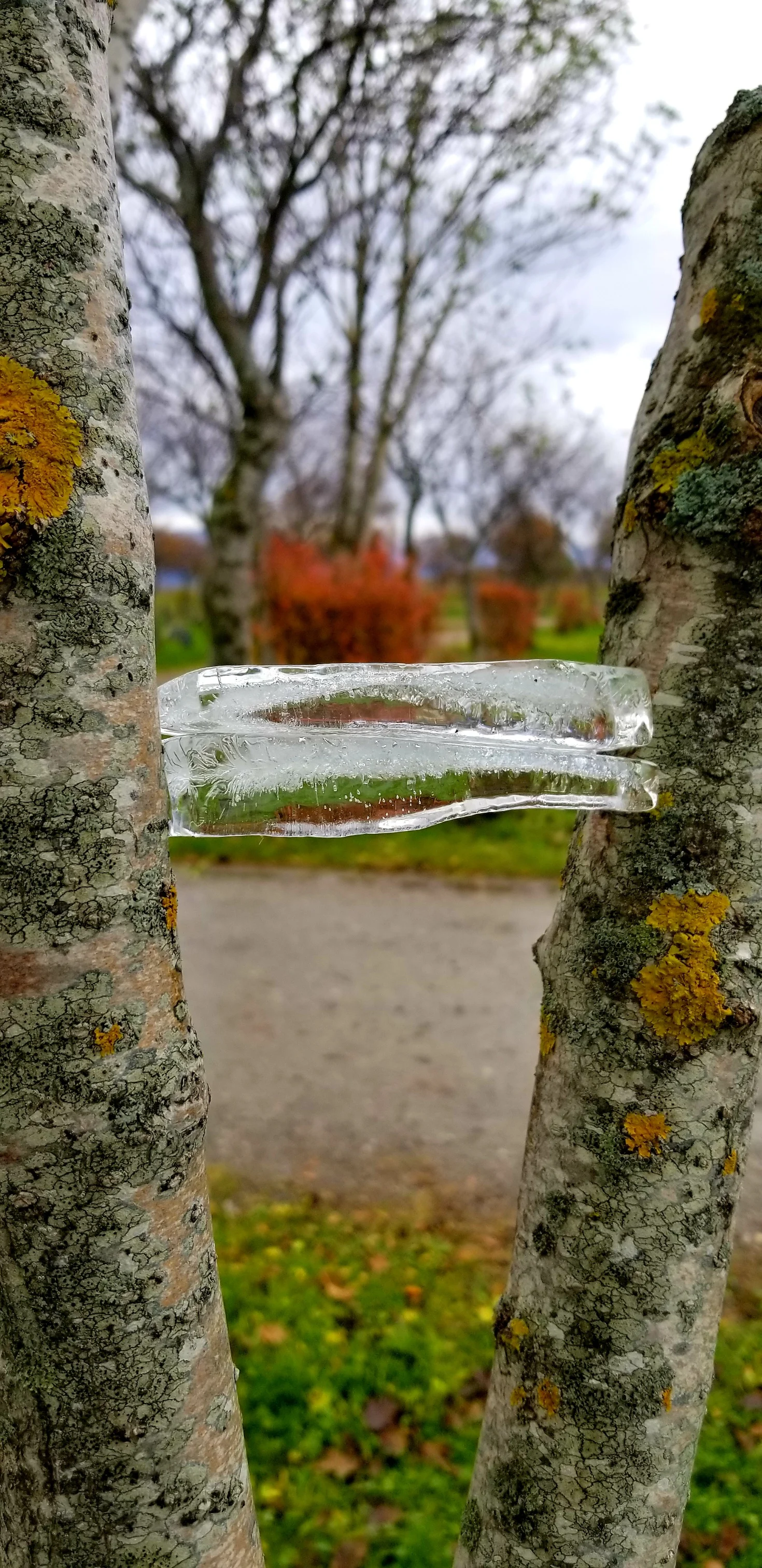 Ice Wedge