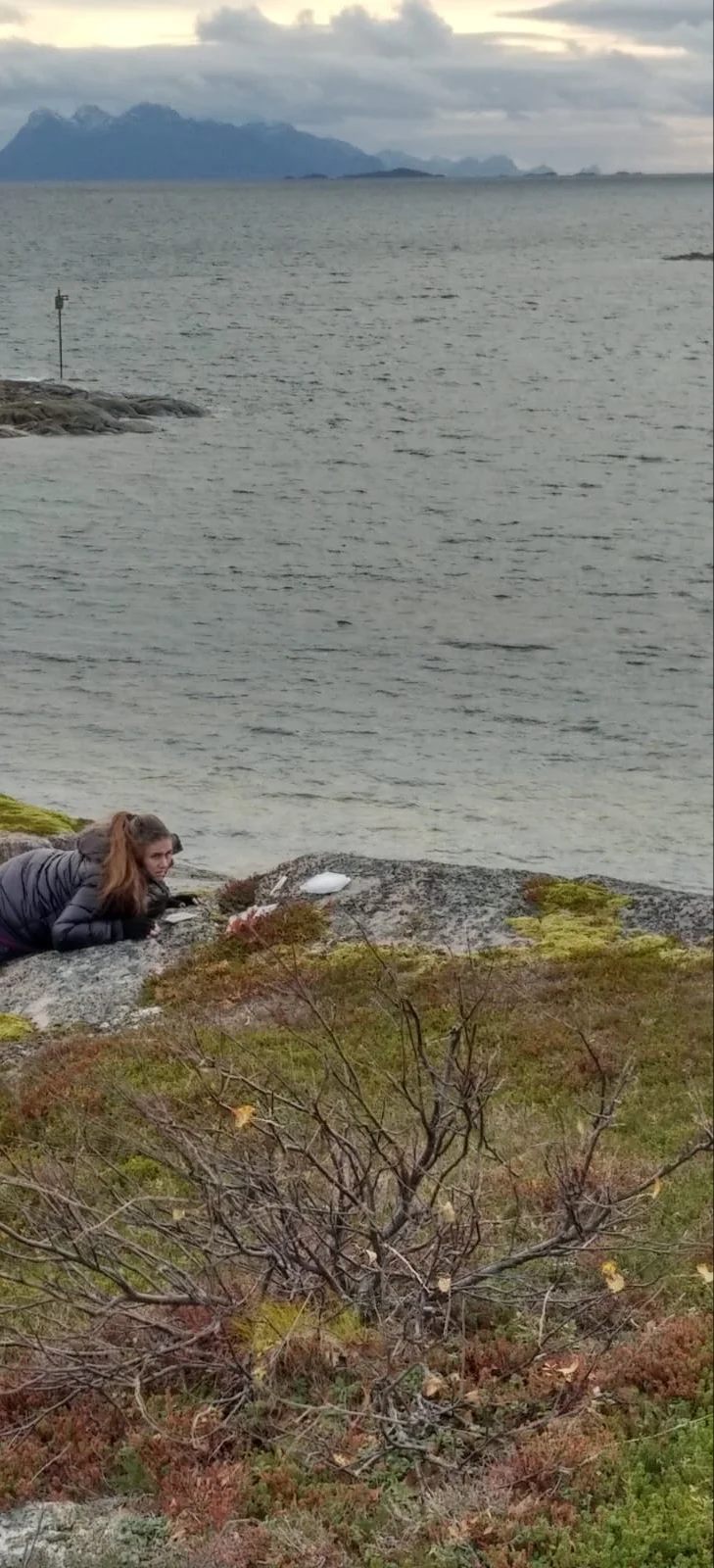 Moss, moss everywhere and not a spot to place, Lodingen, Norway, October 2018.