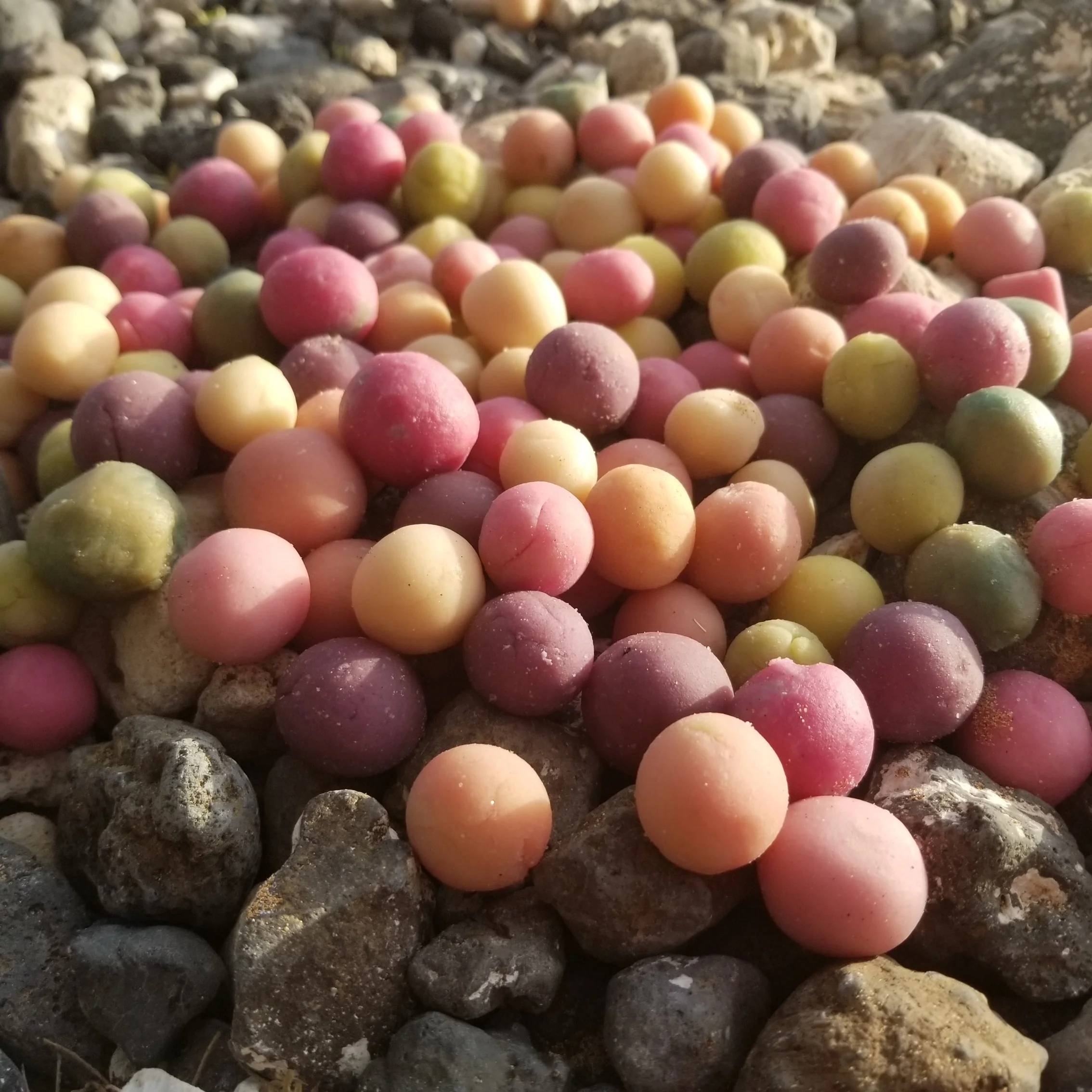 Dough of the installation kind, organic and placed on a beach in Maui, June 2018. No yeast required.