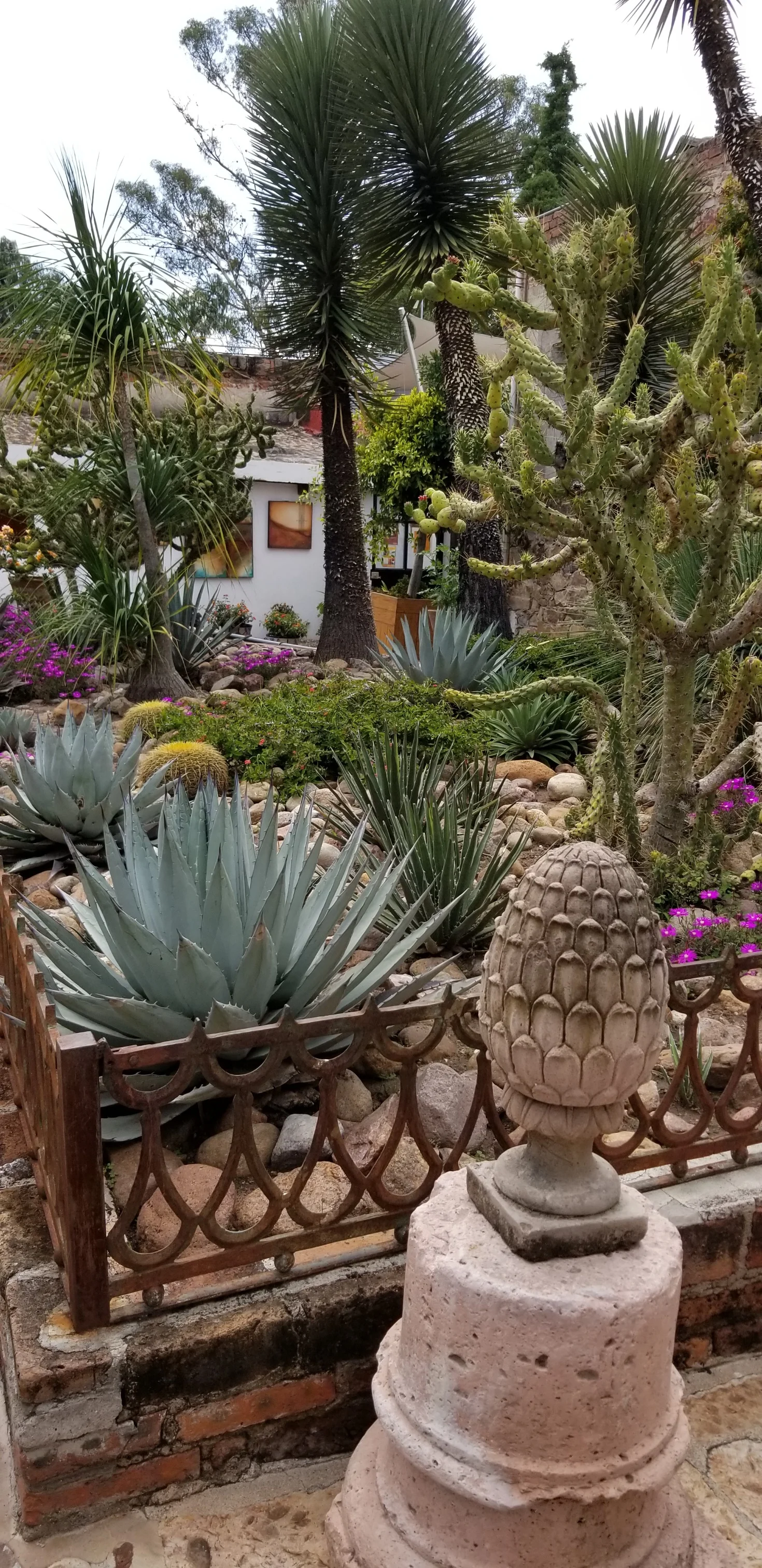 Cactus garden at Fabrica la Aurora in San Miguel de Allende where I will have a large scale installation in March, 2019. Hope to see you there!