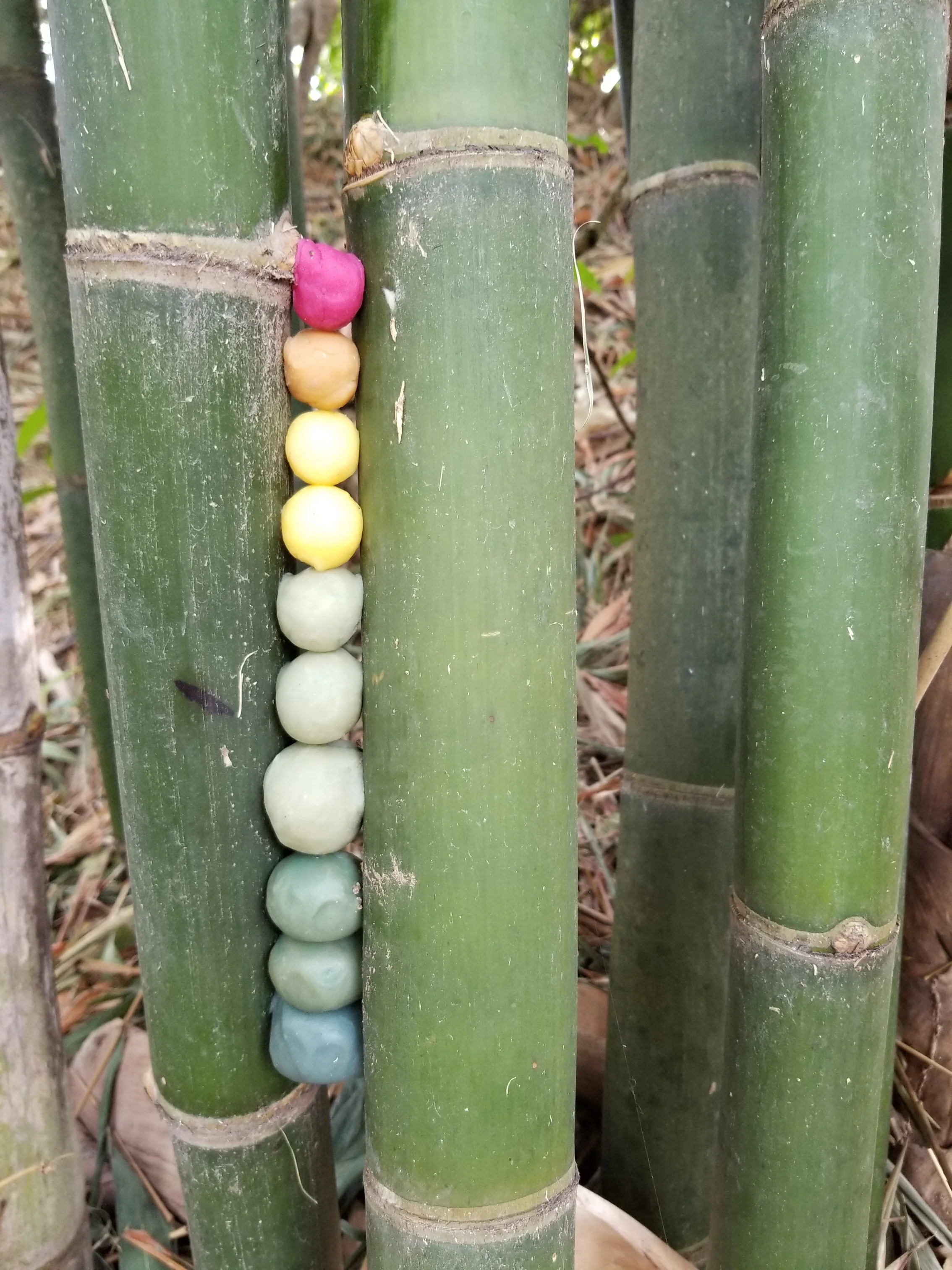 Bamboo Stack