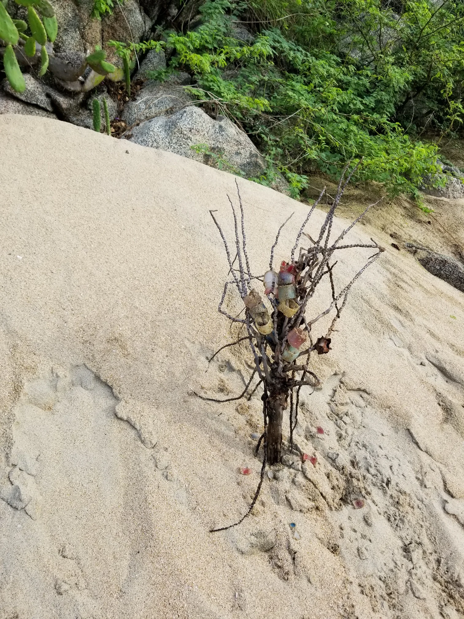 Ice infused with organic dyes installed on a dried coconut palm piece found along the beach. Guess how many times it tumbled into the sand?