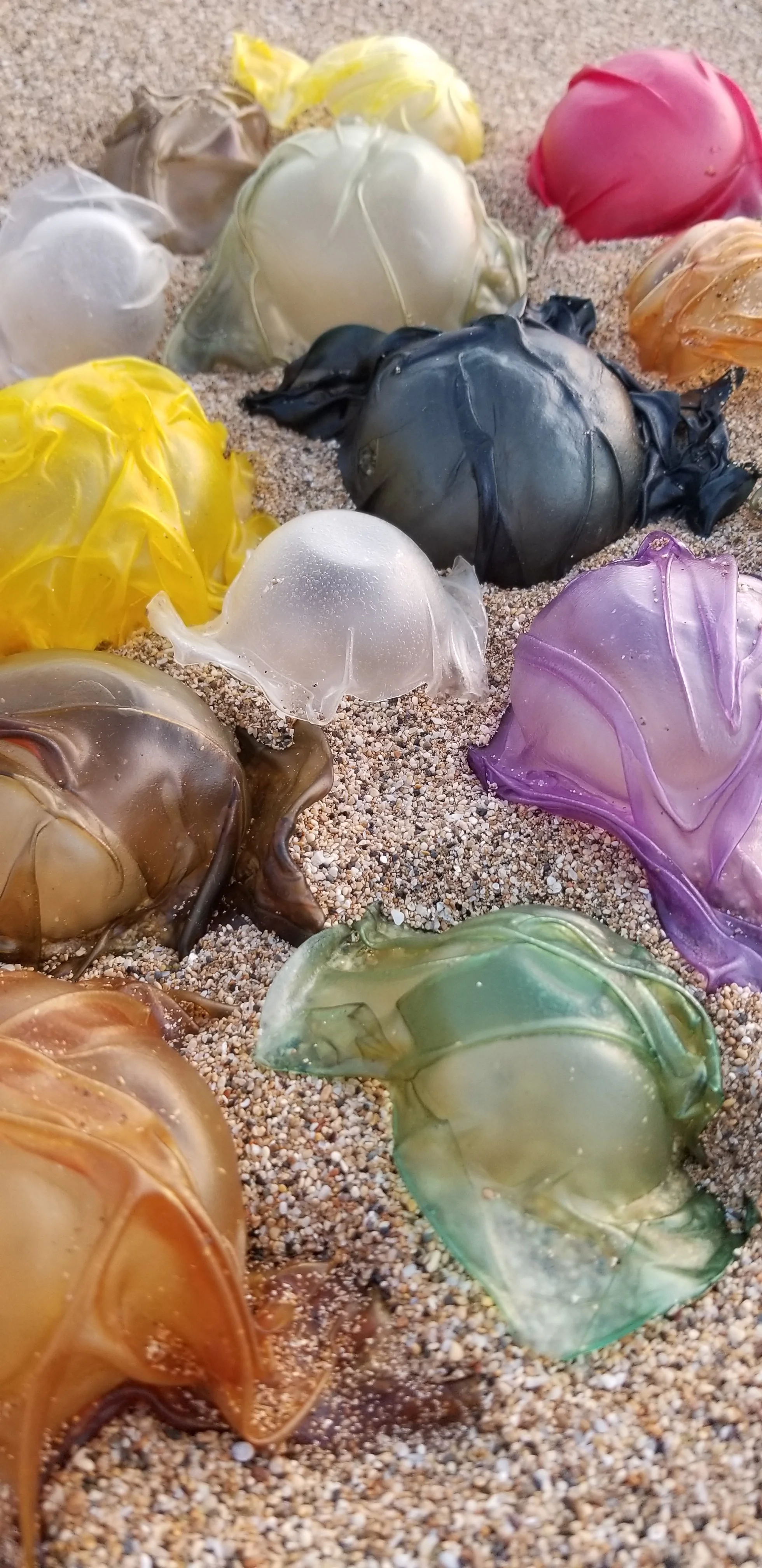Mung bean installation on Maui will melt with the rising tide, Kaanapali Beach, April 2019.