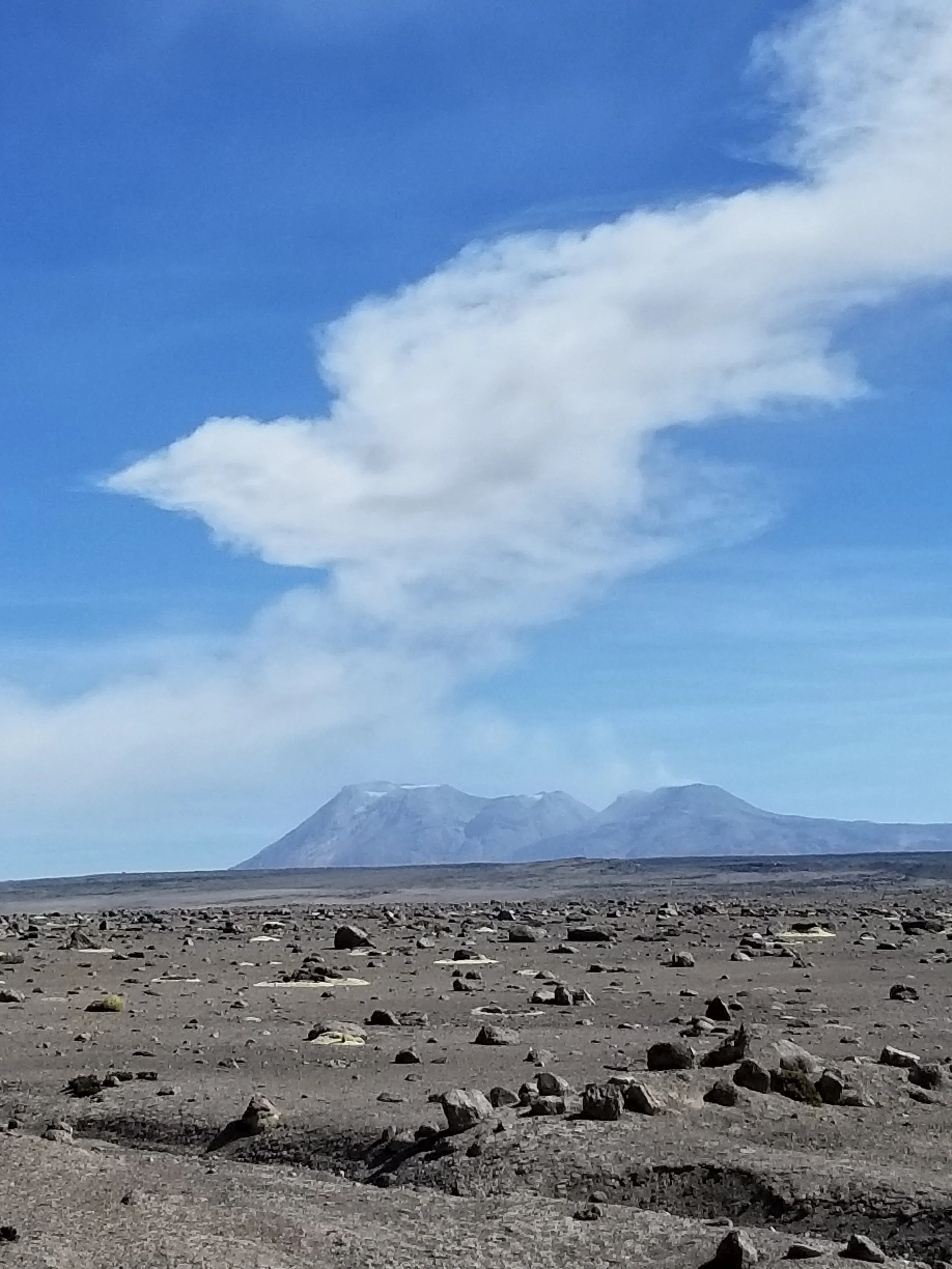 Sabancaya belching her volcanic mist near Patapampa Pass in southern Peru, June 2019.