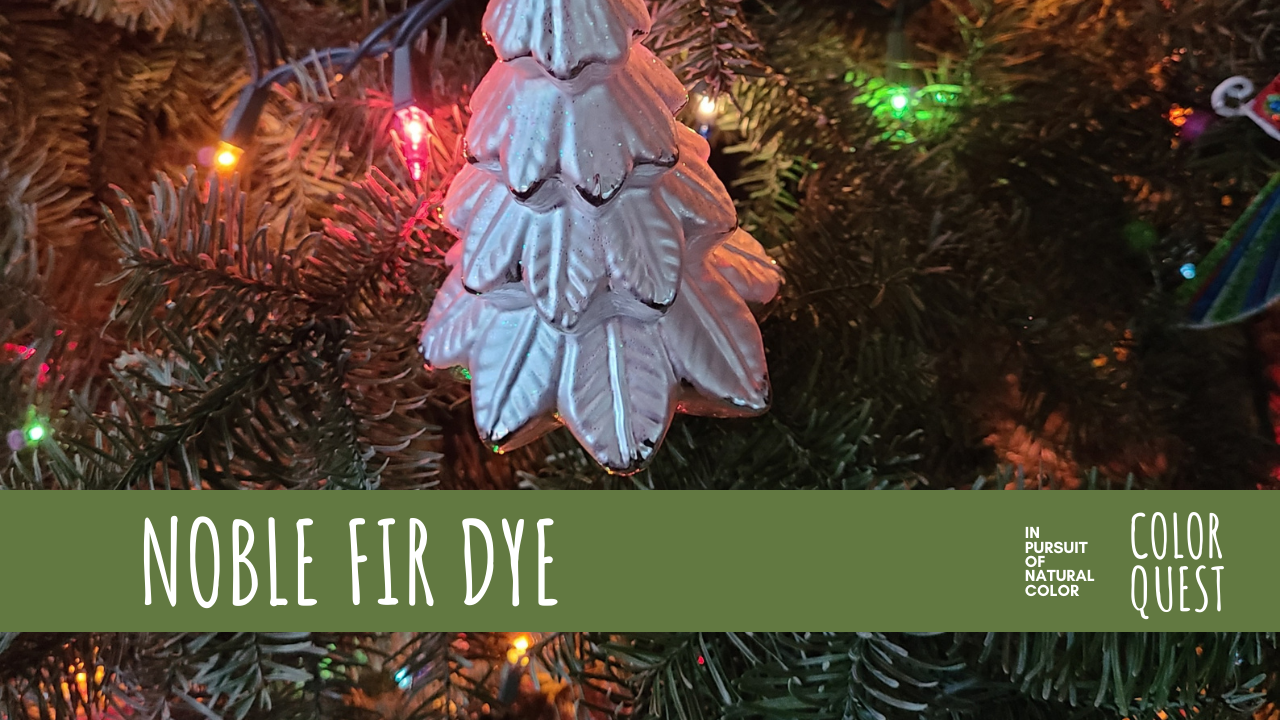 Noble Fir Dye