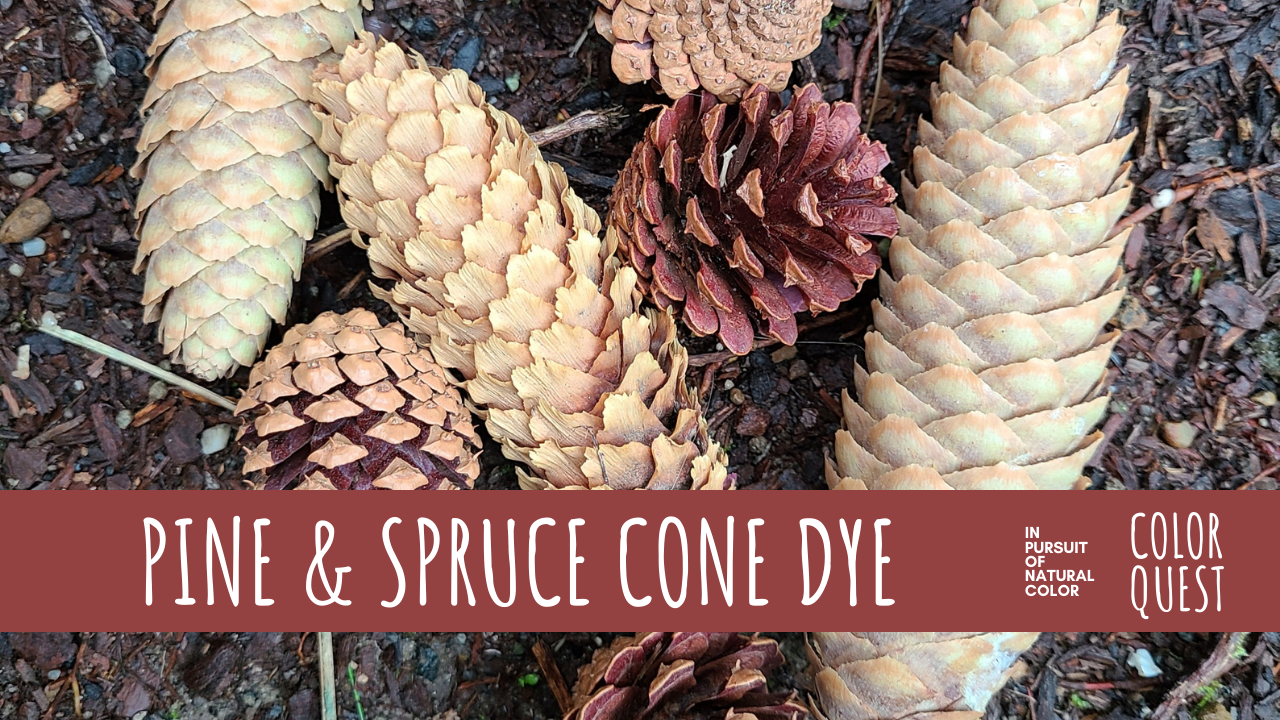 Pine &amp; Spruce Cone Dye