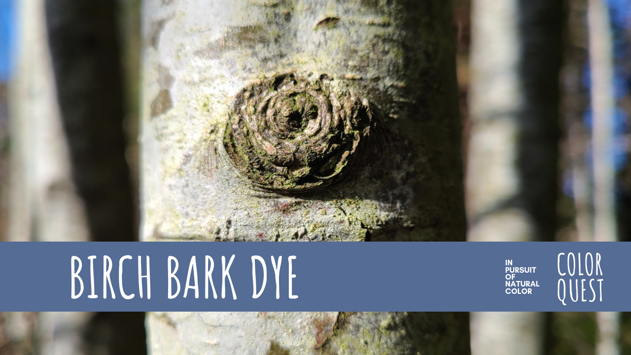 Birch Bark Dye