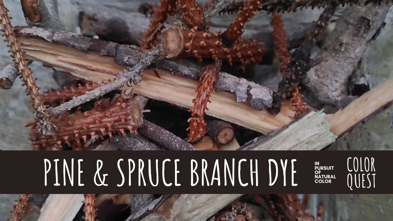 Pine &amp; Spruce Branch Dye