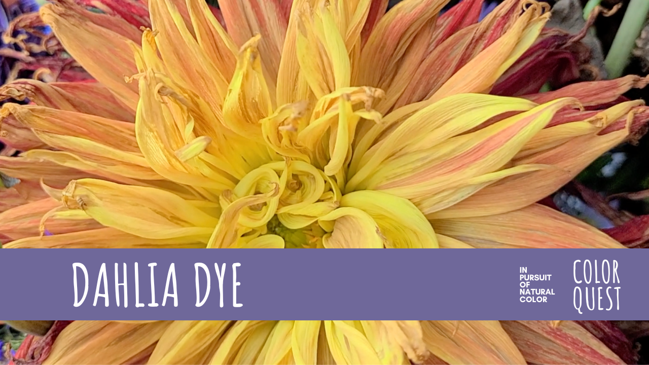 Dahlia Dye
