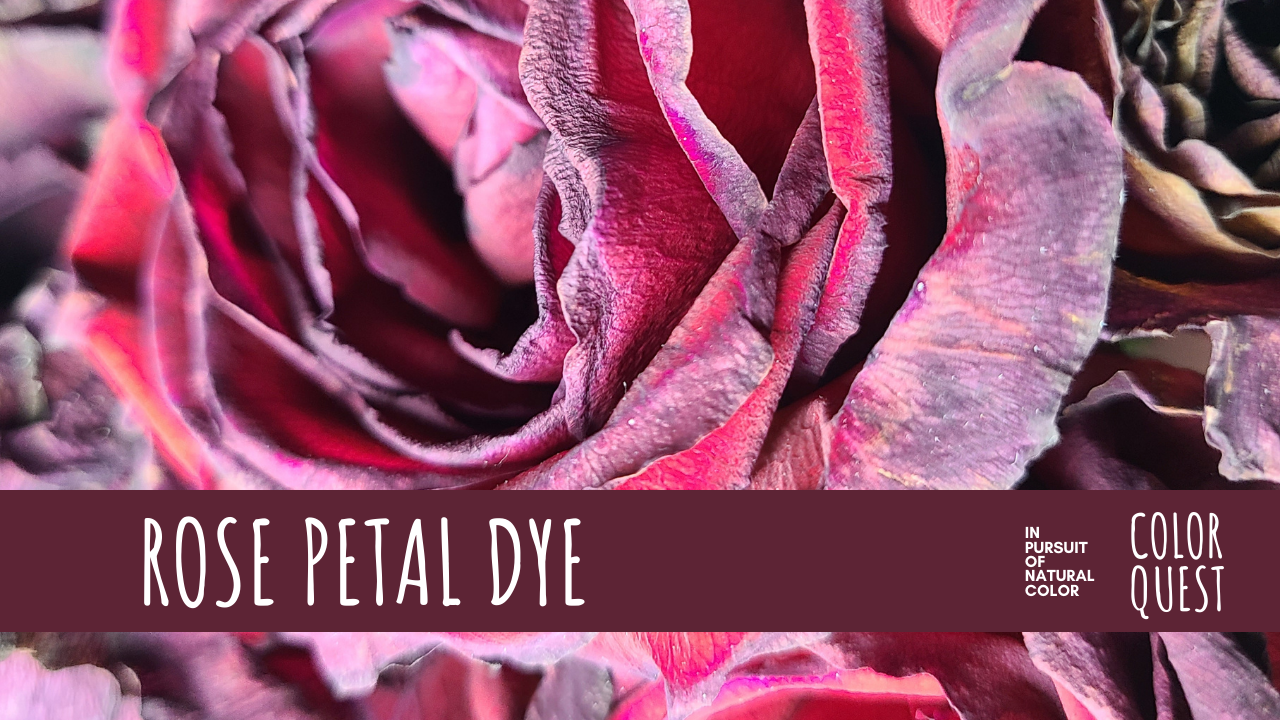 Rose Petal Dye