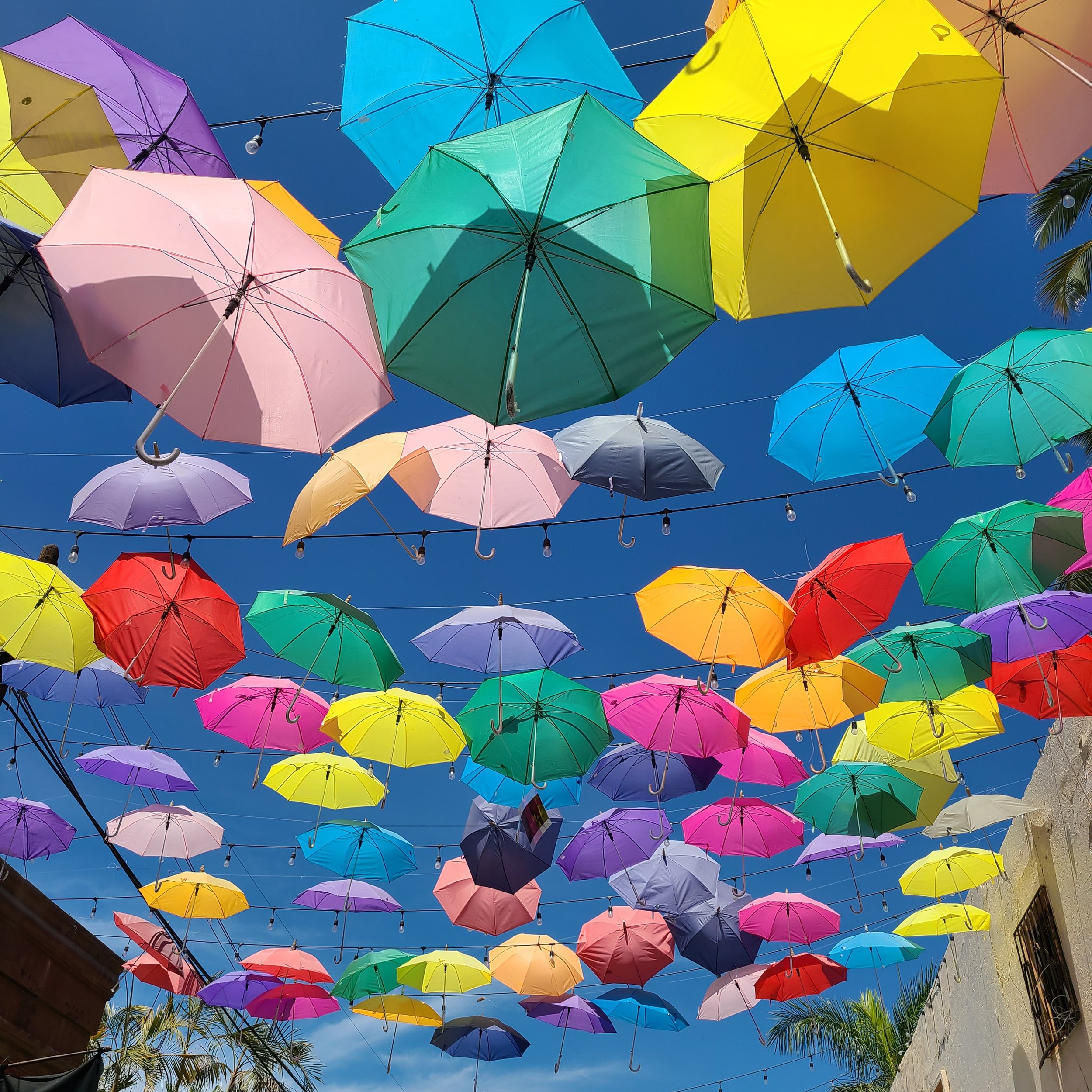 Colorful Umbrellas TS.jpg