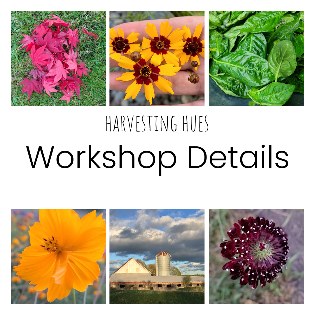 Harvesting Hues - Workshop Details.png