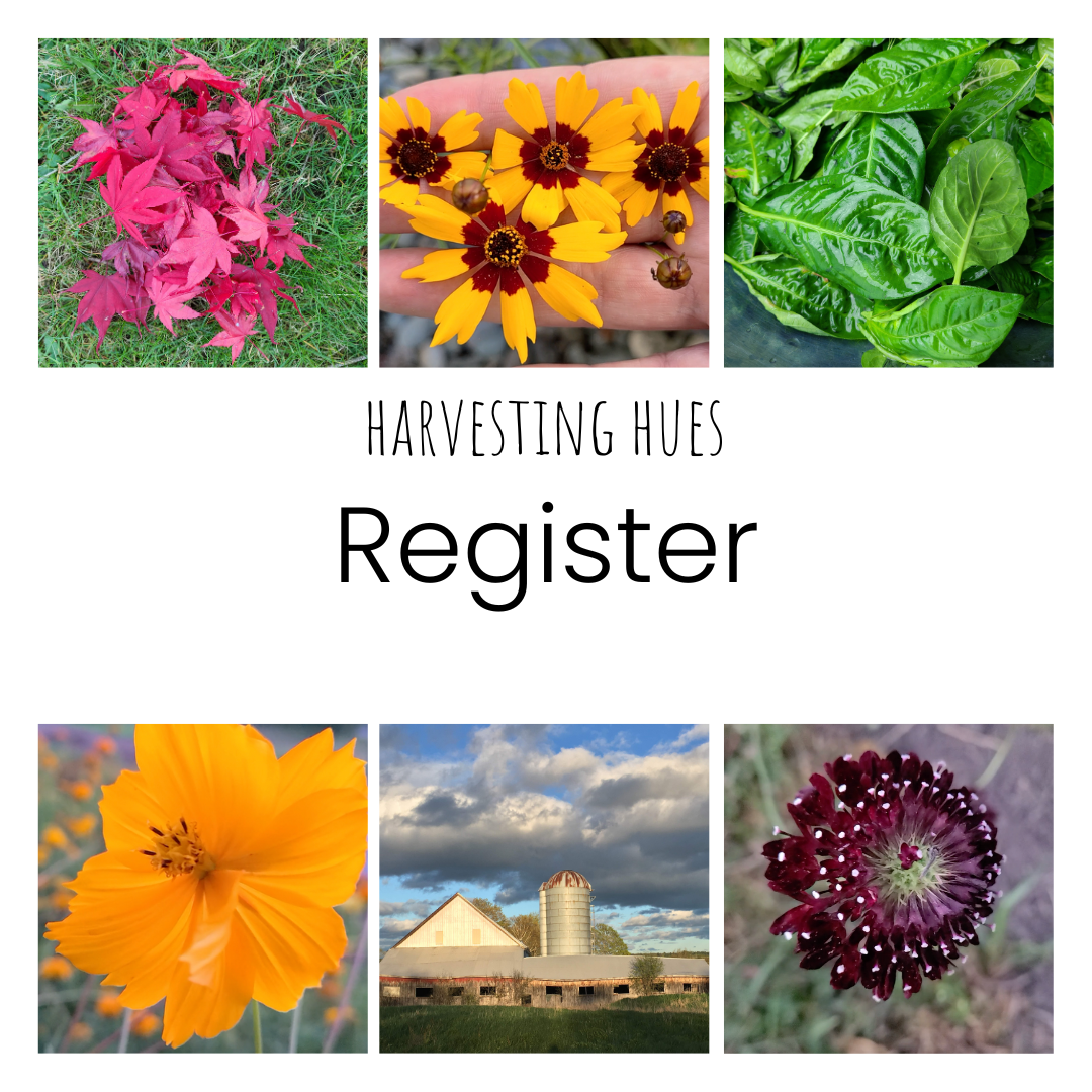 Harvesting Hues - Register.png