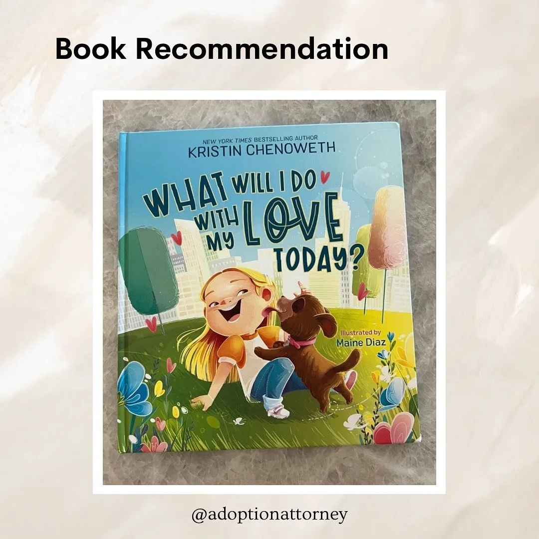 We have a lot of adoption-related books on our kids’ bookshelves. Sometimes they gravitate toward them, sometimes they don’t; we just follow their lead. Lately this book has been a repeat at bedtime: What Will I Do With My Love Today by K