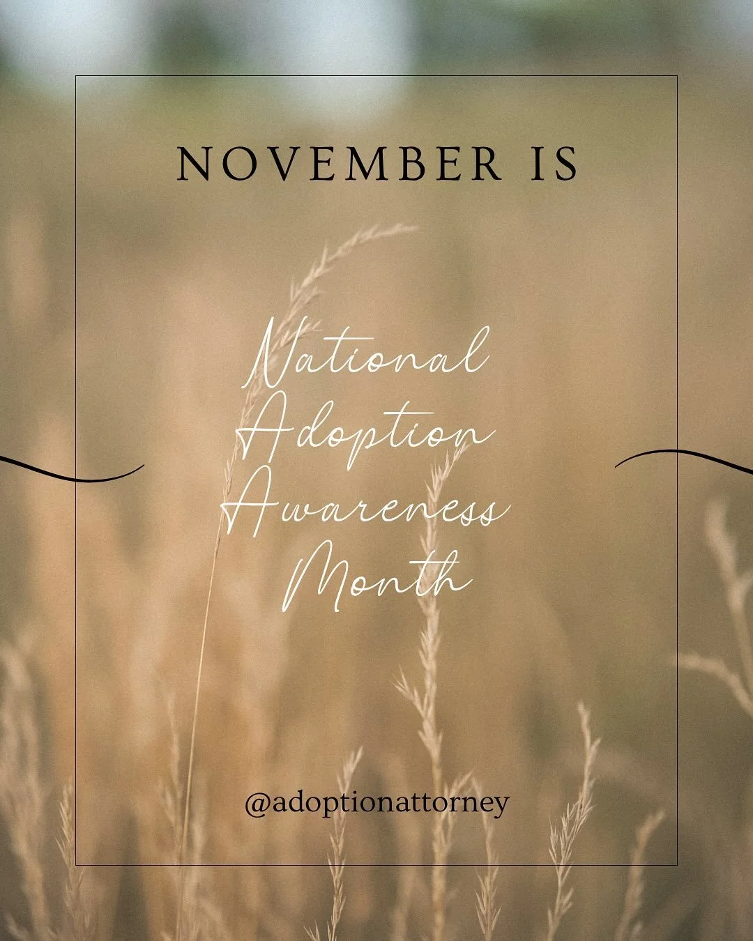 November is National Adoption Awareness Month! #NAAM was originally created to increase awareness of the number of children in the foster care system that are awaiting permanent placement. In addition to drawing attention to this very important need,
