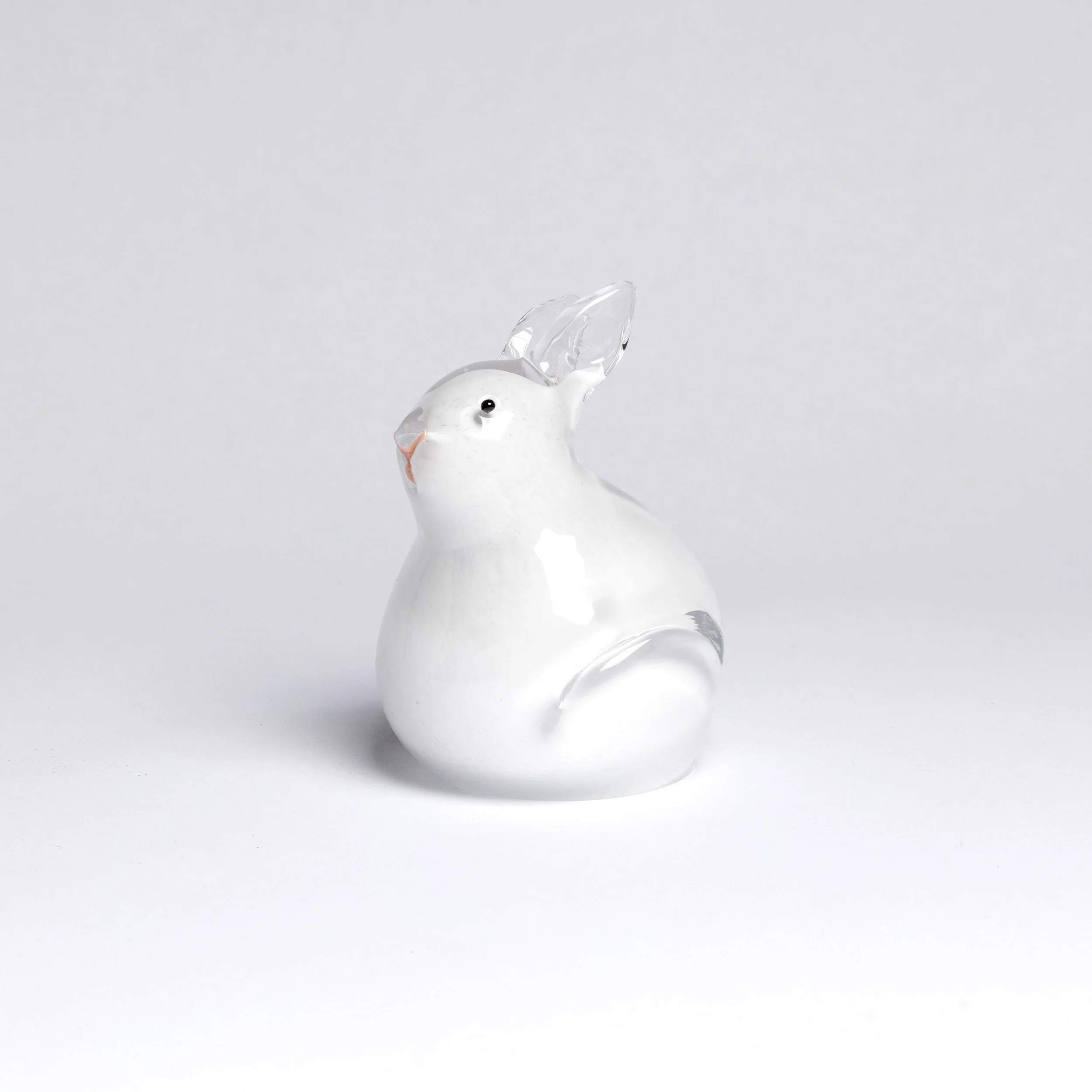 Bunny1_NvAG26.jpg