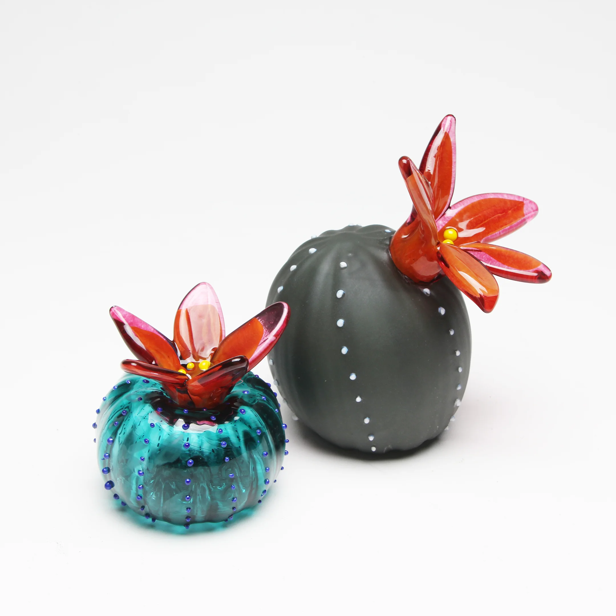 Cactus Duo