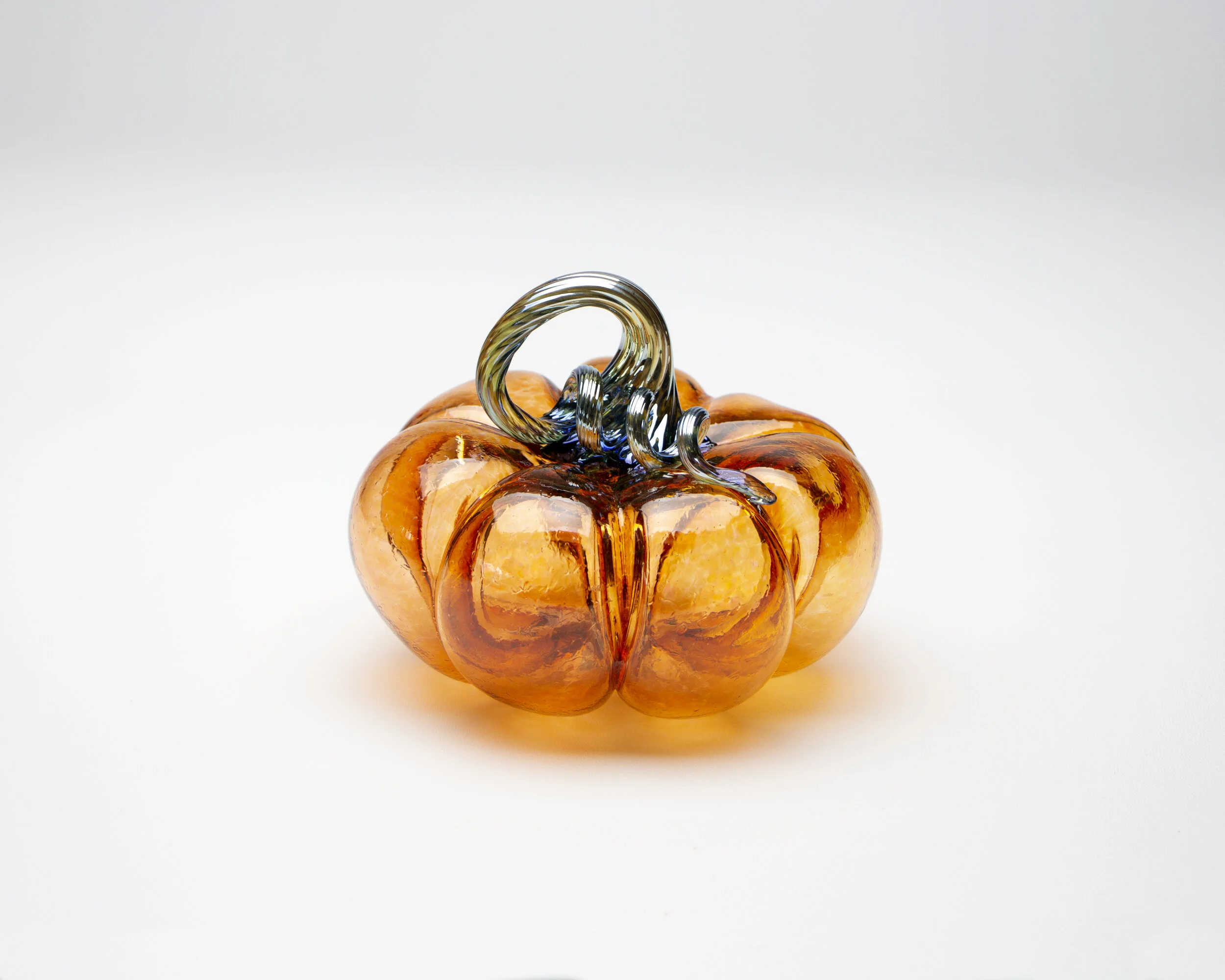 OrganicCoral_211NicholsonvanAltenaGlass.jpg