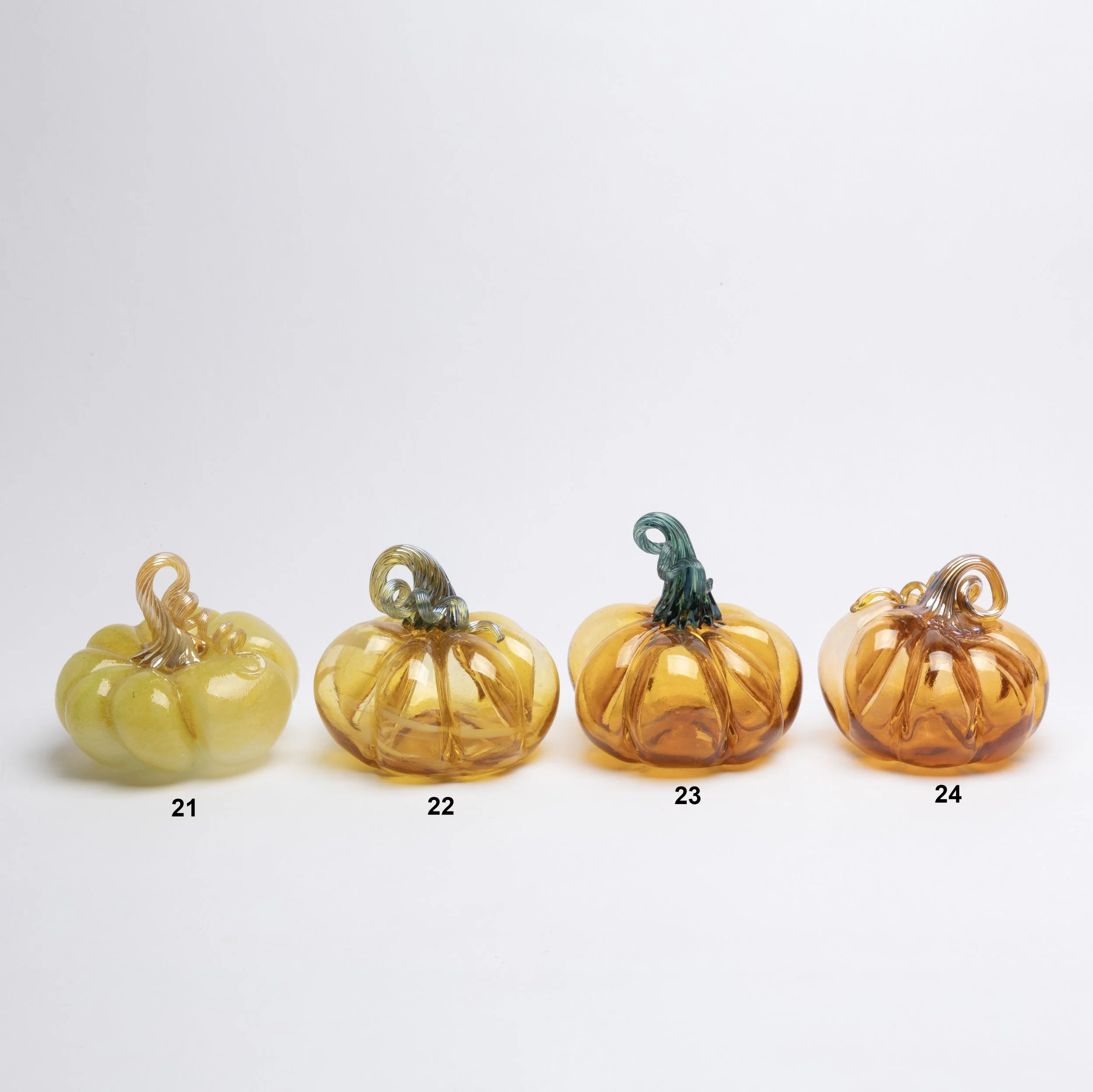 Organic Pumpkins VI