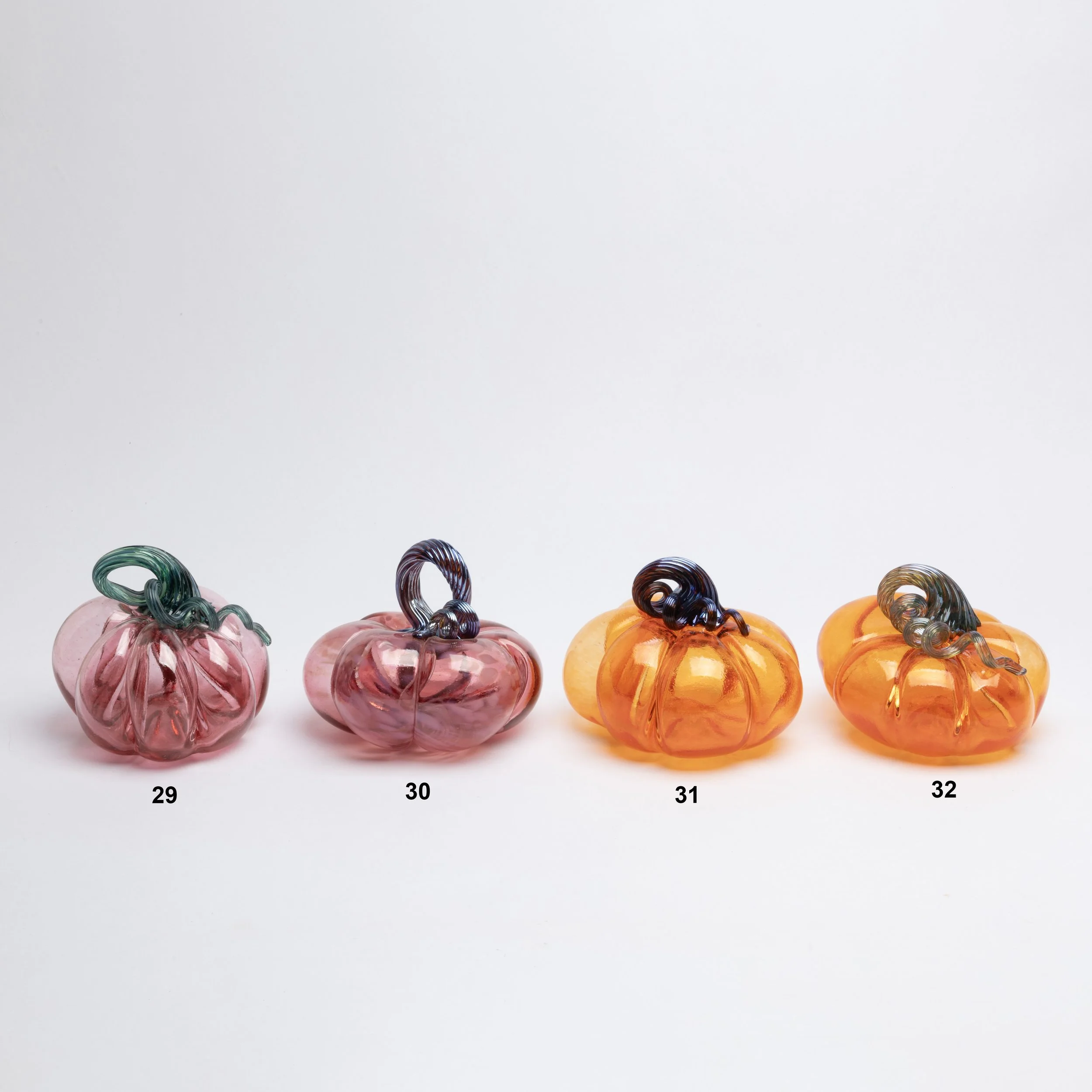 Organic Pumpkins VIII