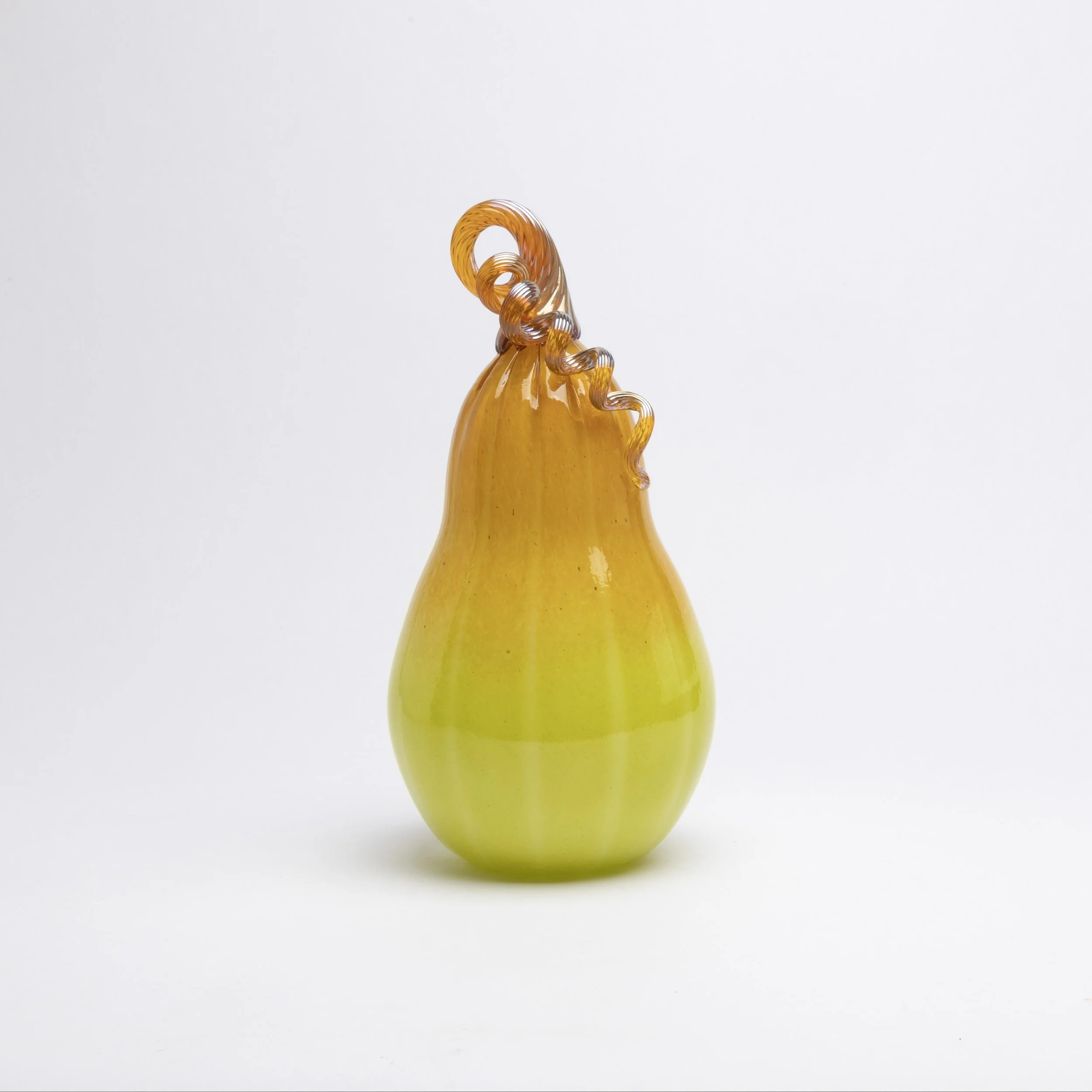 X-Large Squash