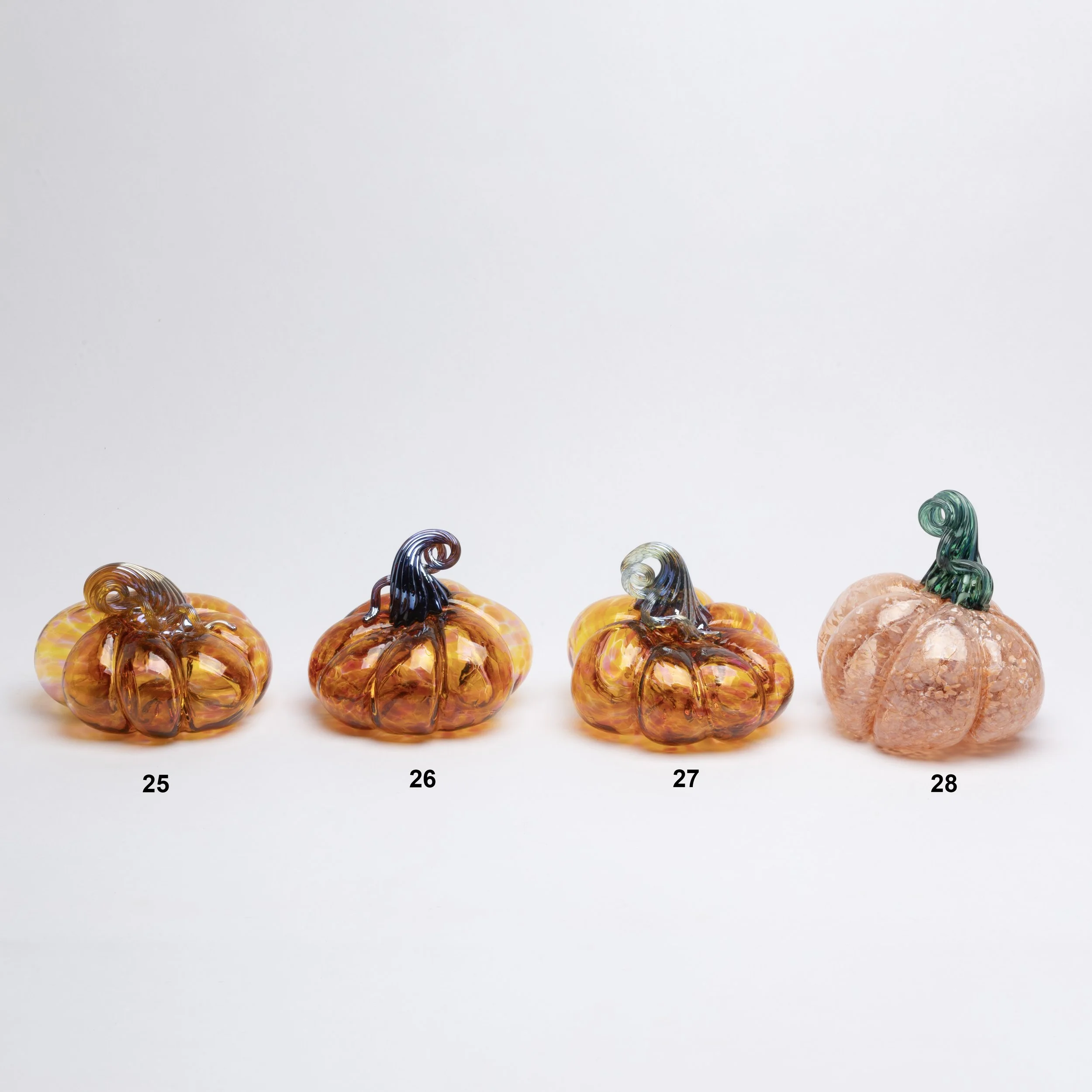Organic Pumpkins VII
