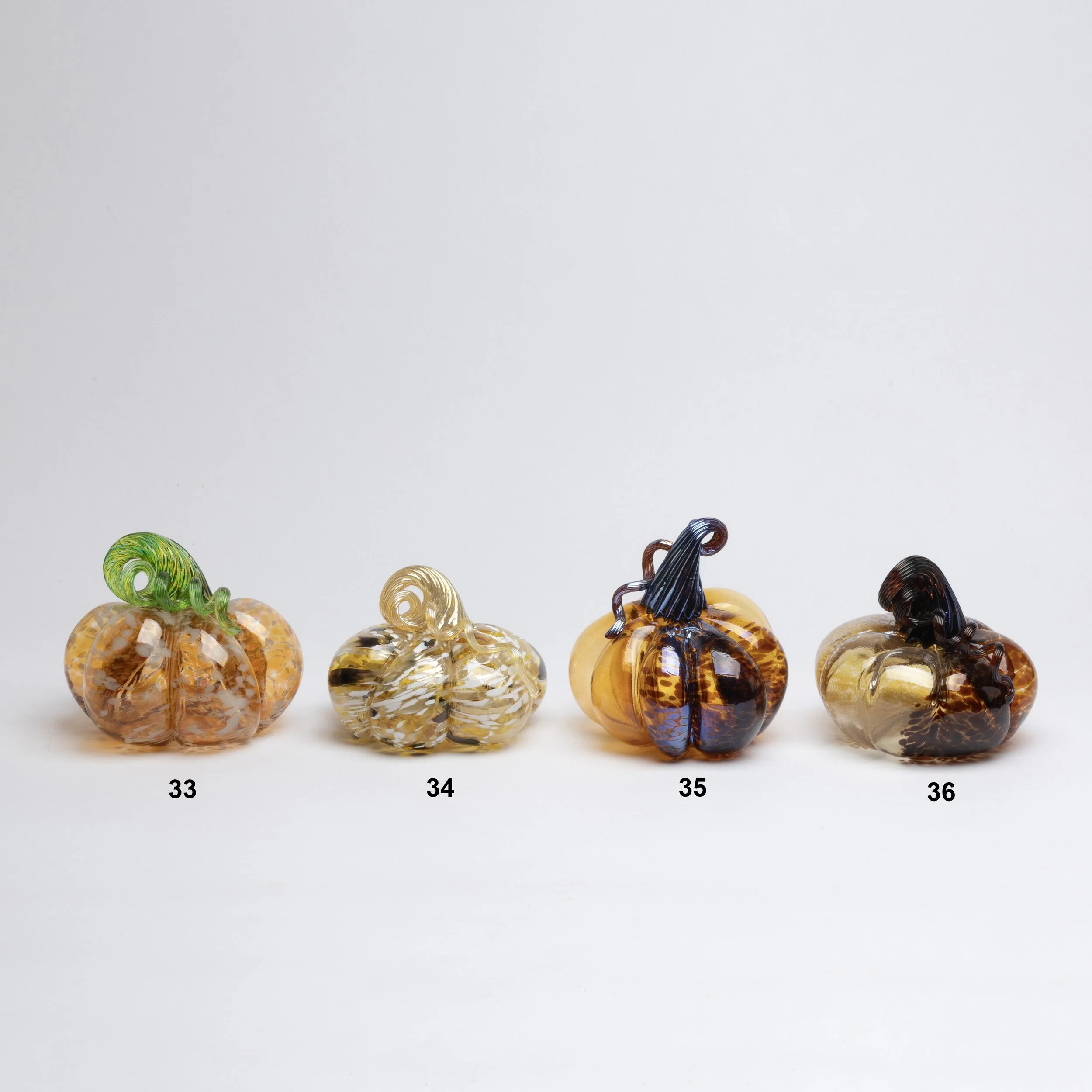 Organic Pumpkins IX