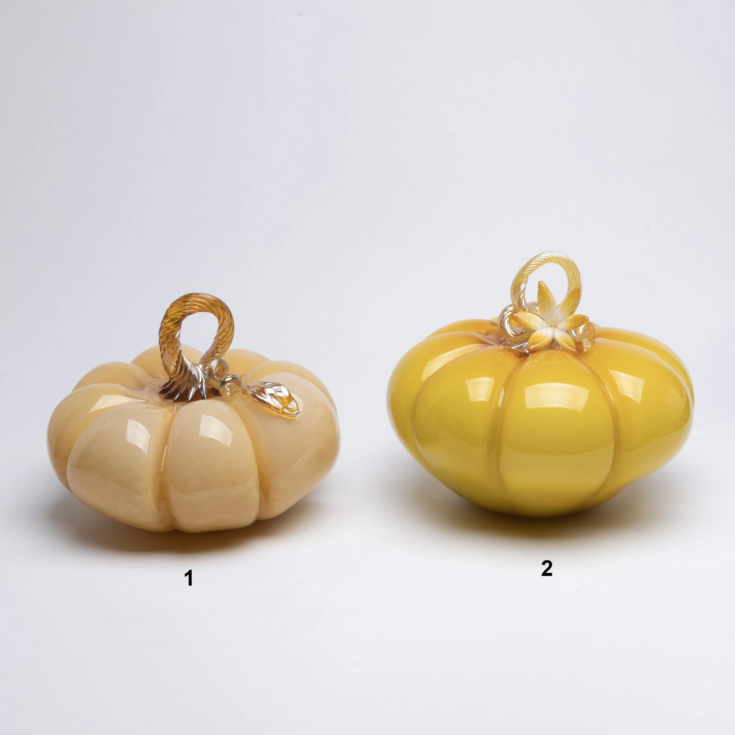 XL Organic Pumpkins