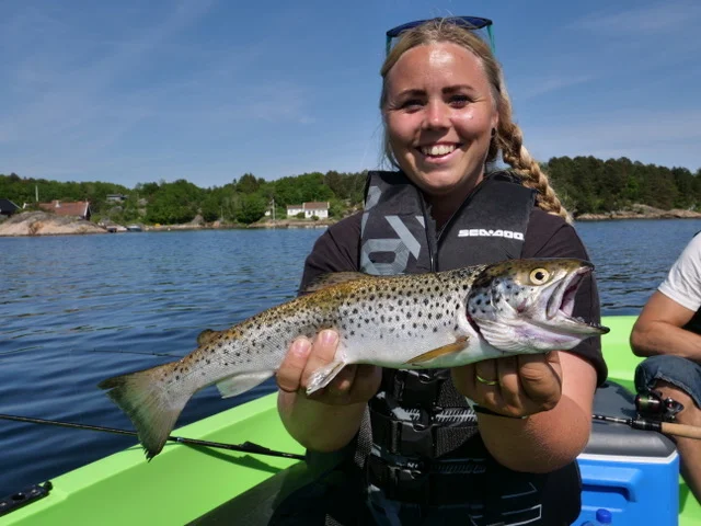 Jakten på sjøørreten i mai