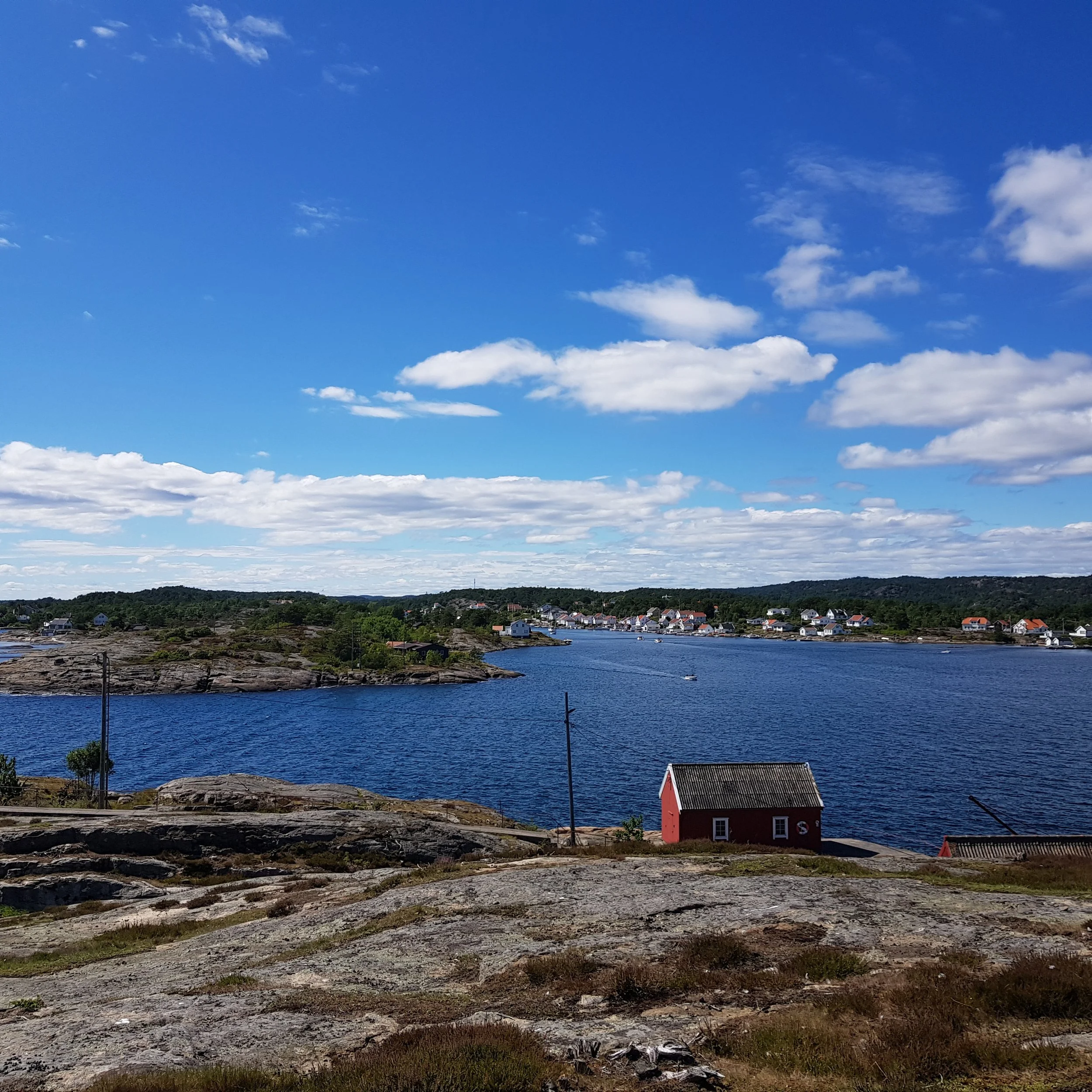 20220726_133429 (4).jpg