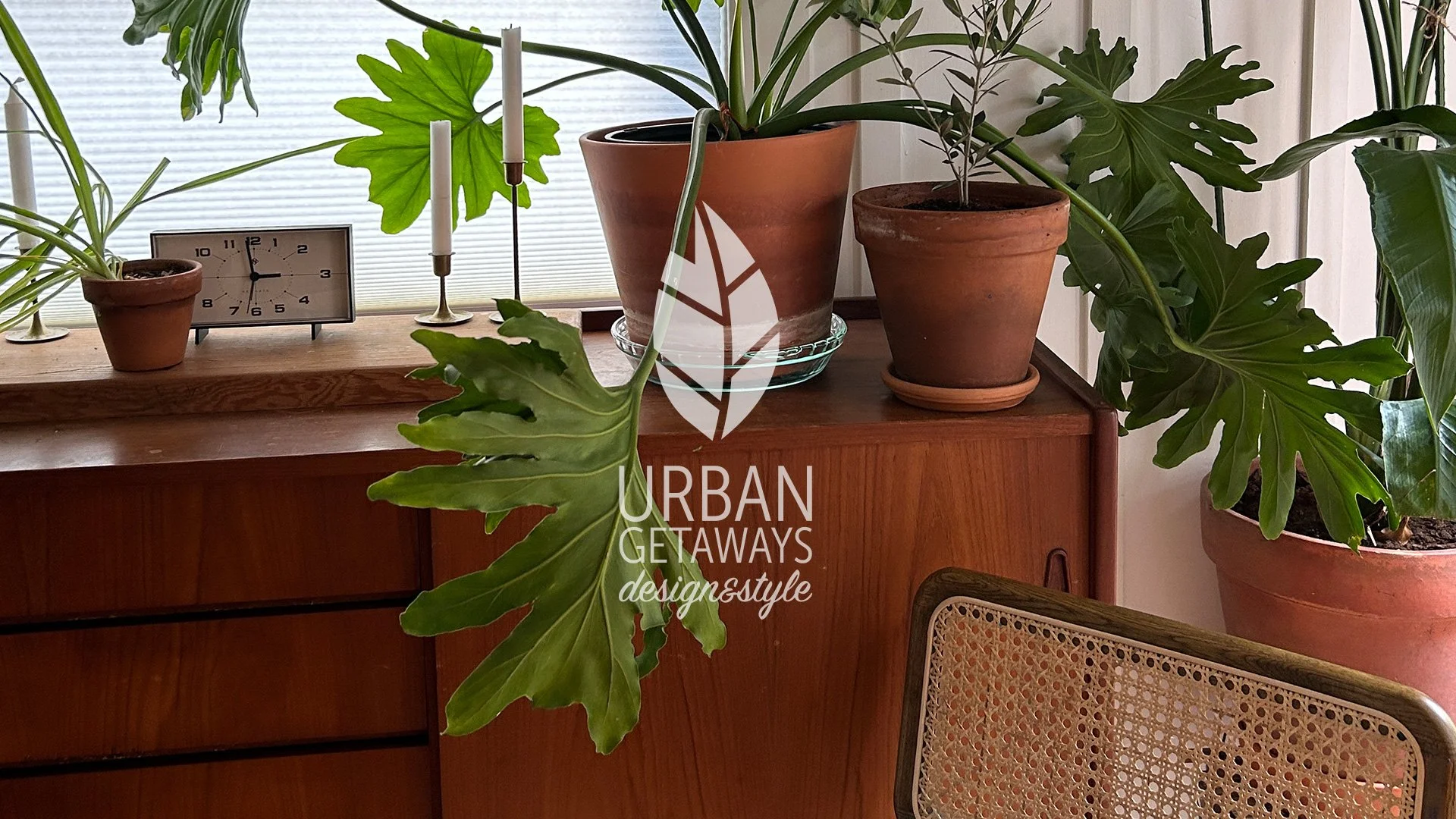 UGD_website_home_082023.jpg