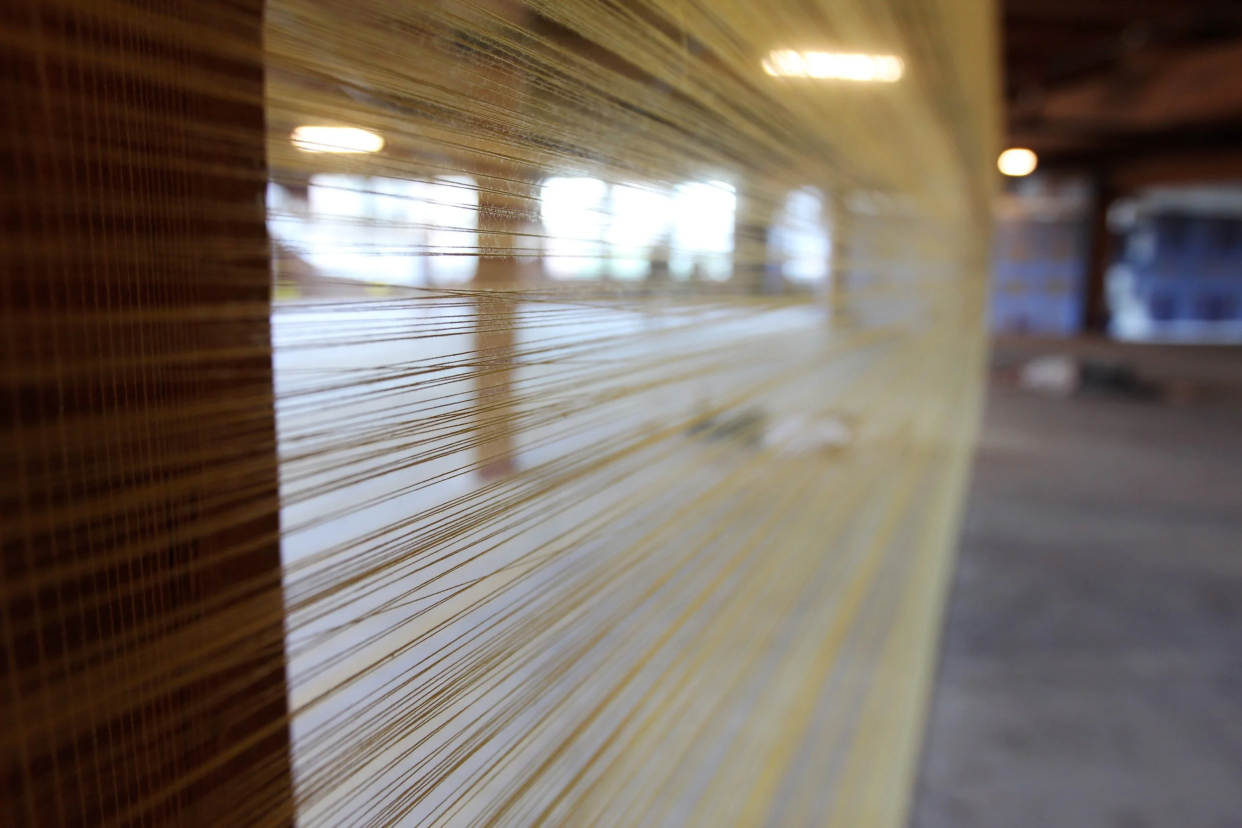  Photo by Sami Khoury. 