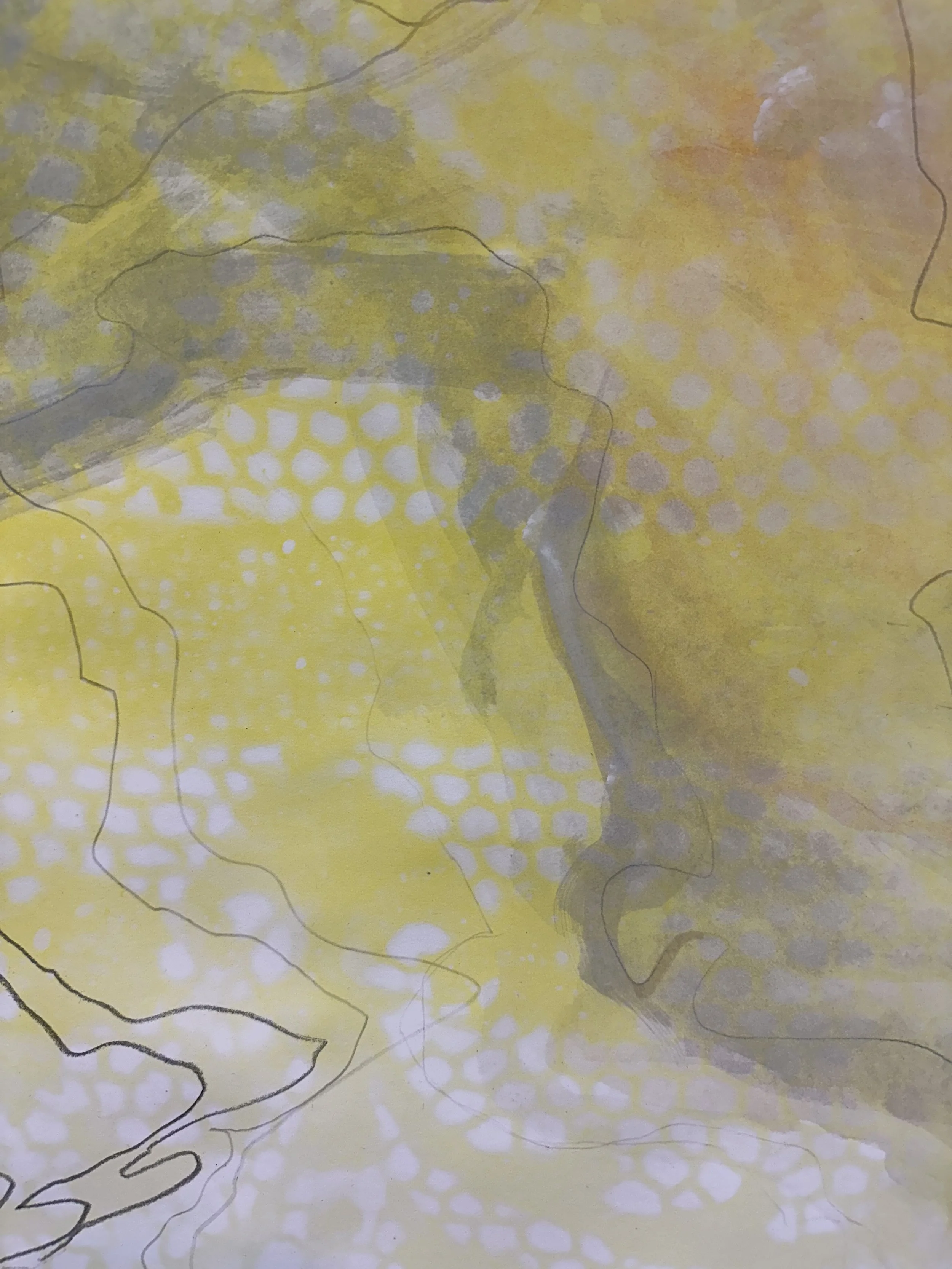 Yellow Shadow Tracker detail3.jpeg