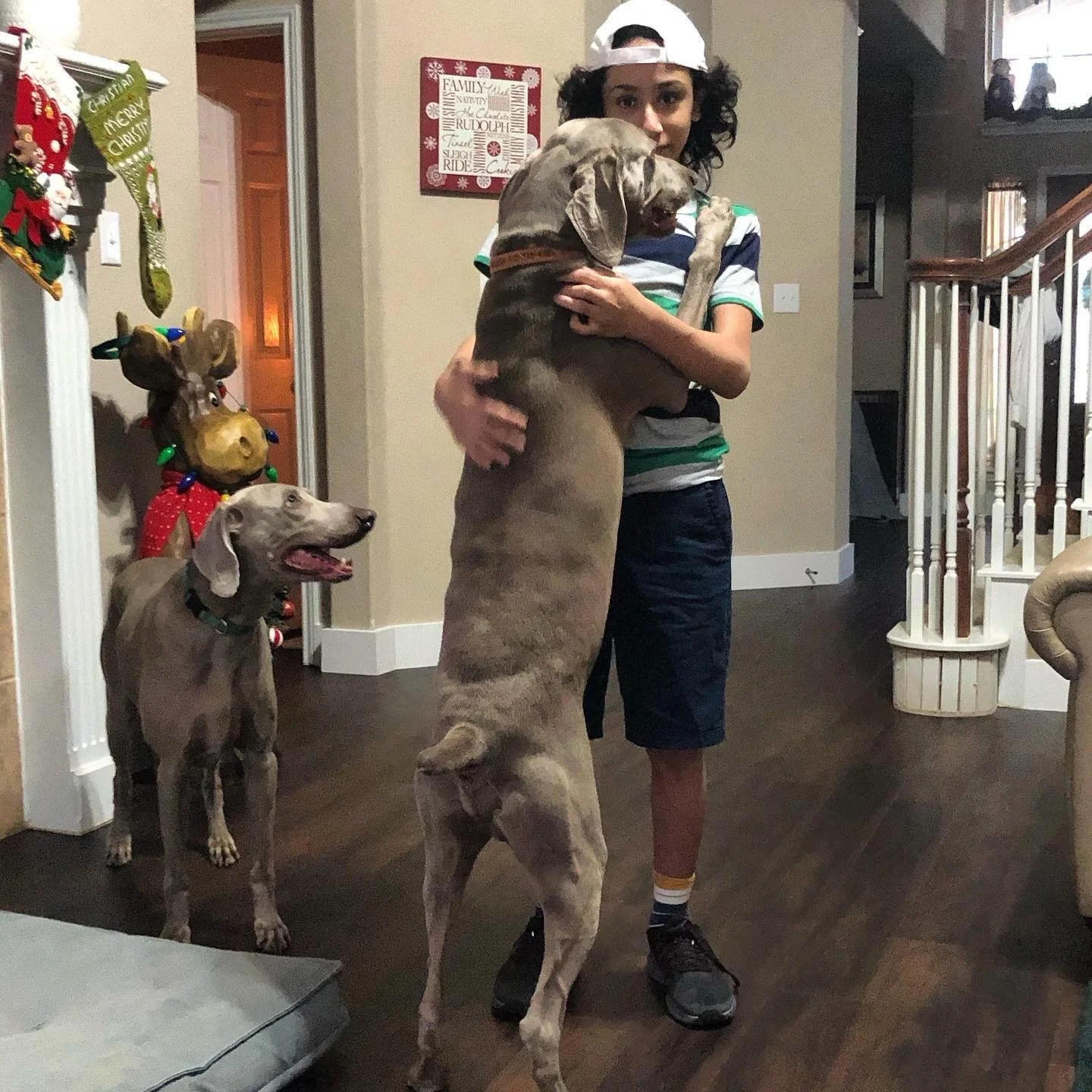 Today we said goodbye to Major, two years after saying goodbye to his brother Sarge. 

And just like that, it&rsquo;s the end of an era. What a wild 15 years it&rsquo;s been. 

I&rsquo;m so grateful M &amp; S got to grow old with each other, and it w
