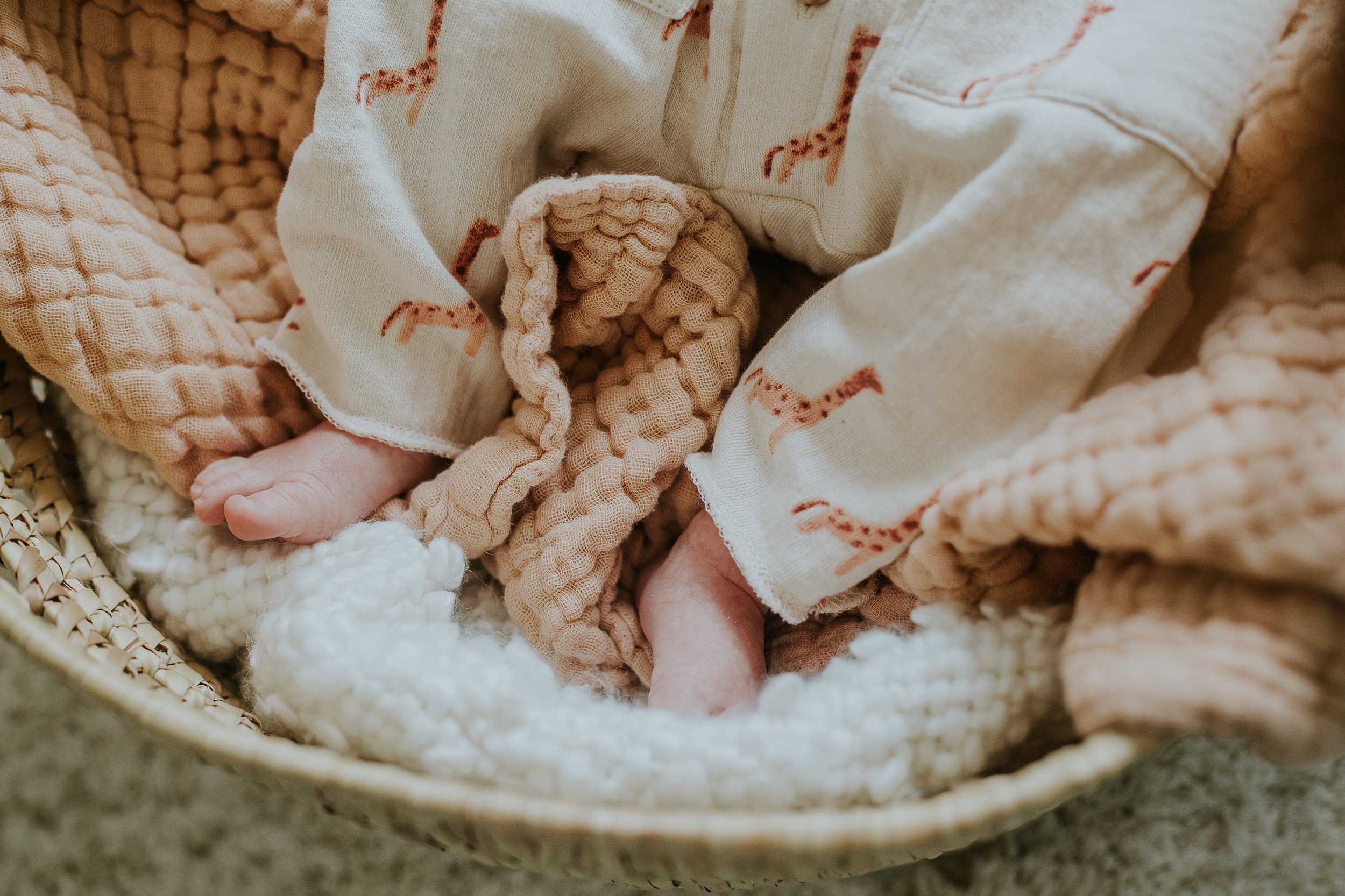 Willem Appledorn - Chilliwack Newborn Photographer